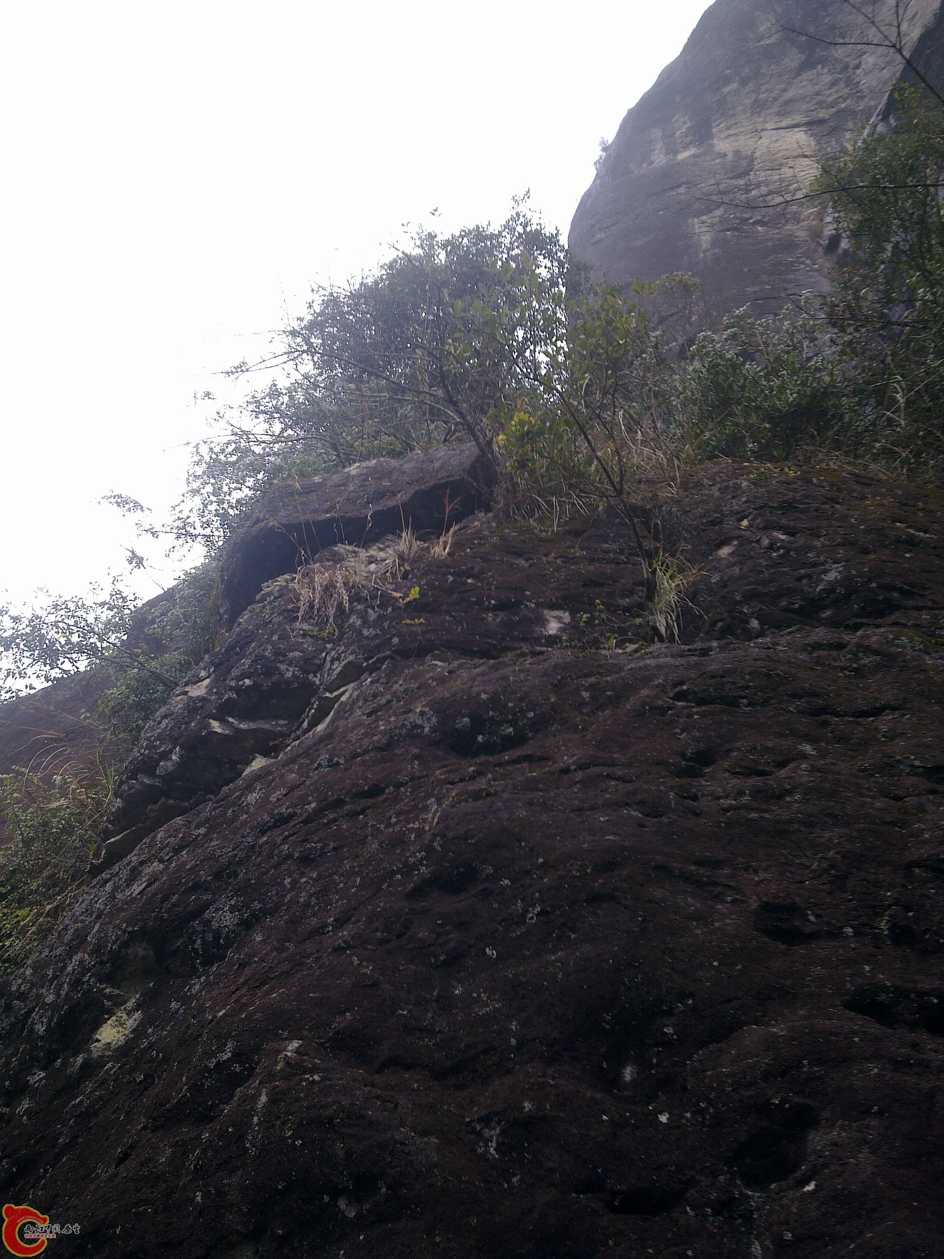 20120126136.jpg