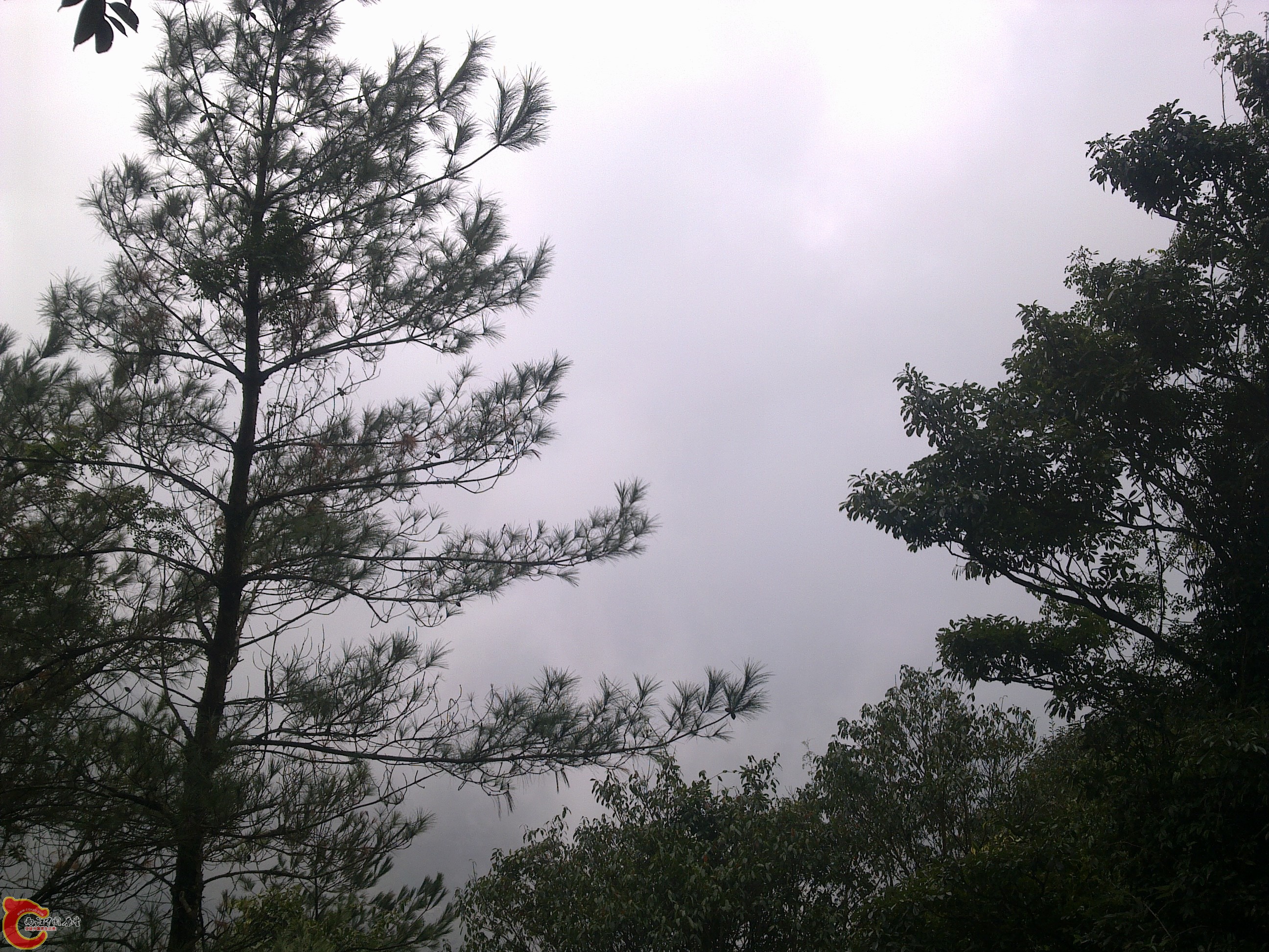 20120126138.jpg