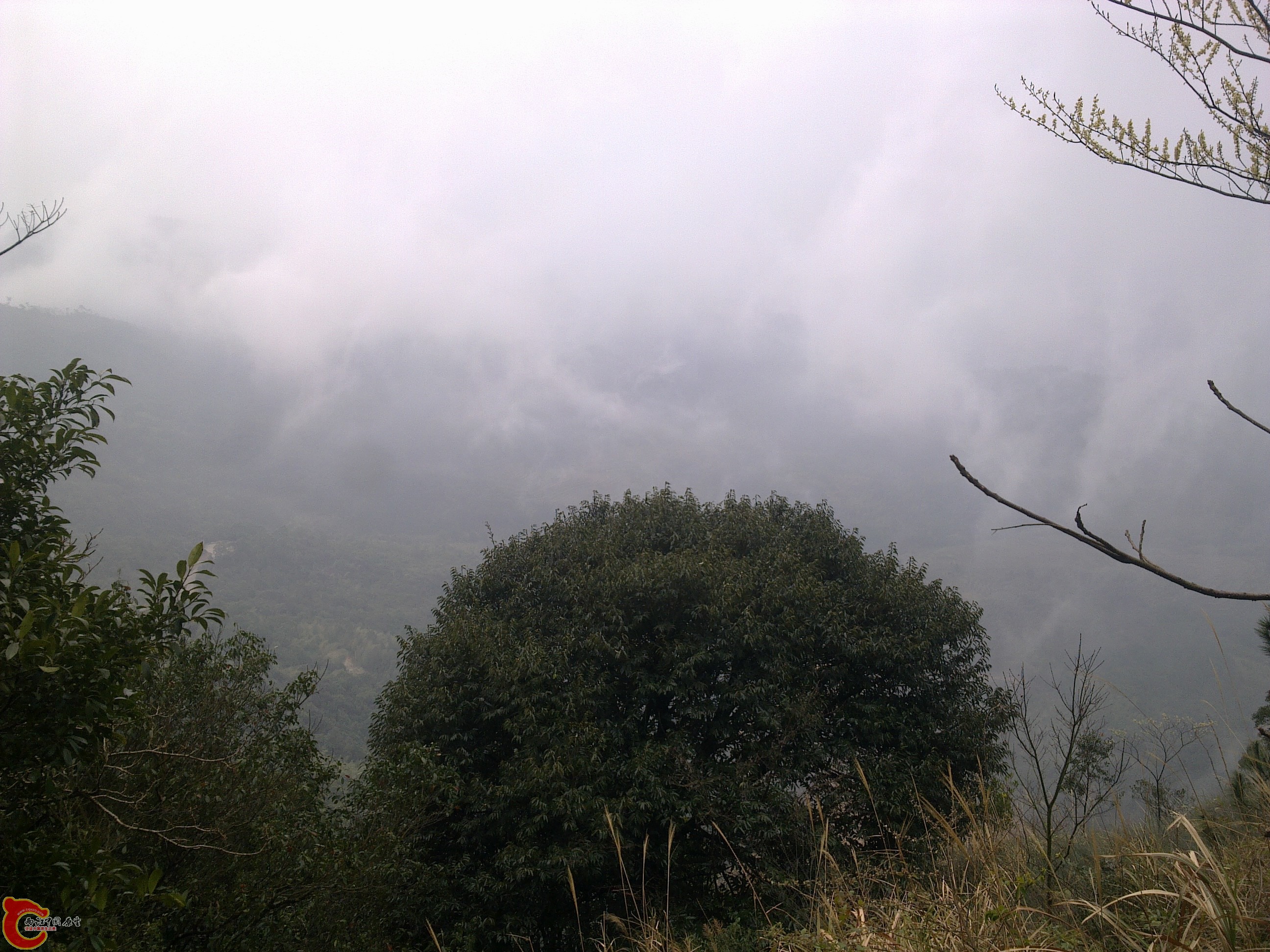 20120126140.jpg