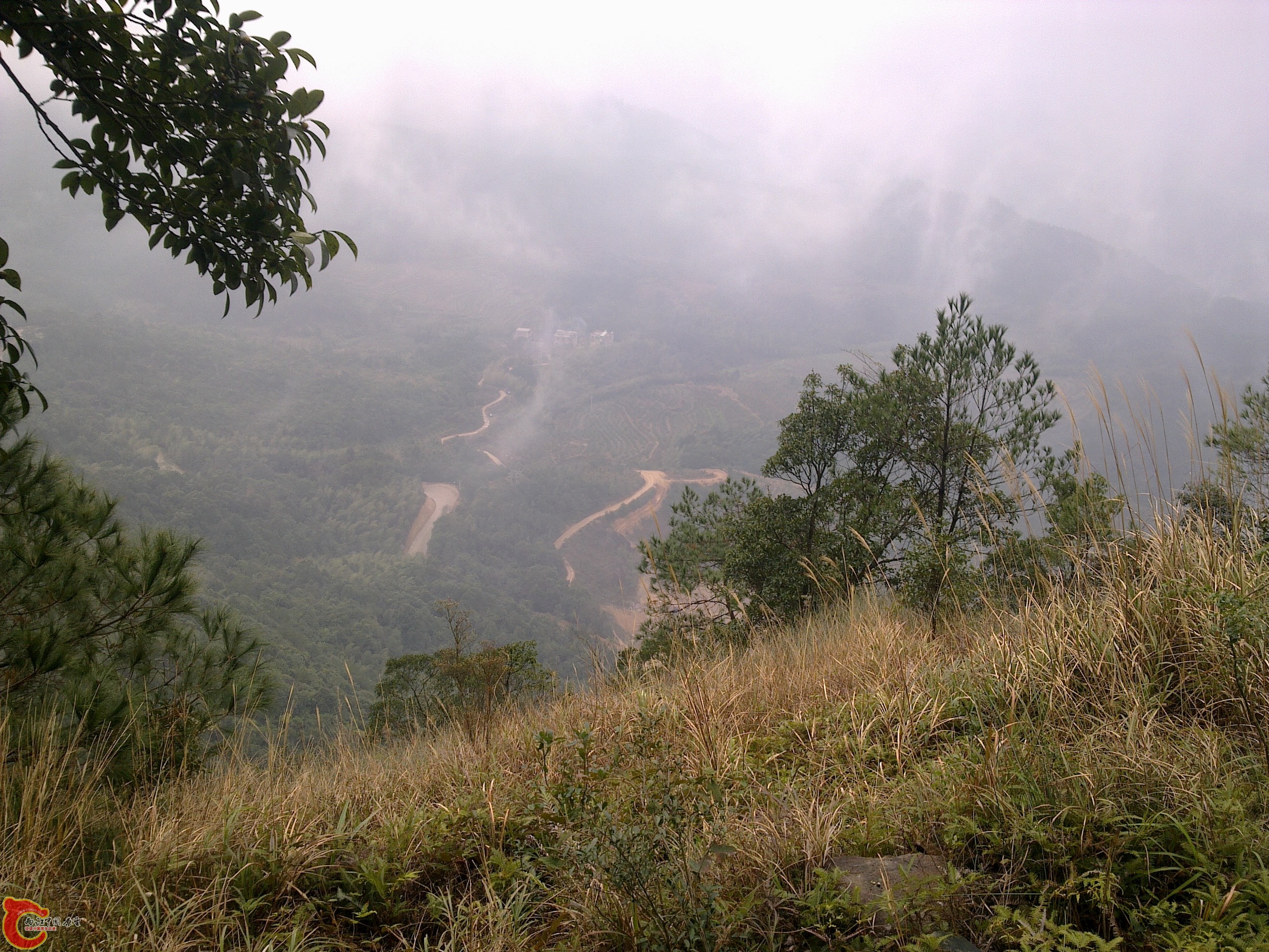 20120126141.jpg