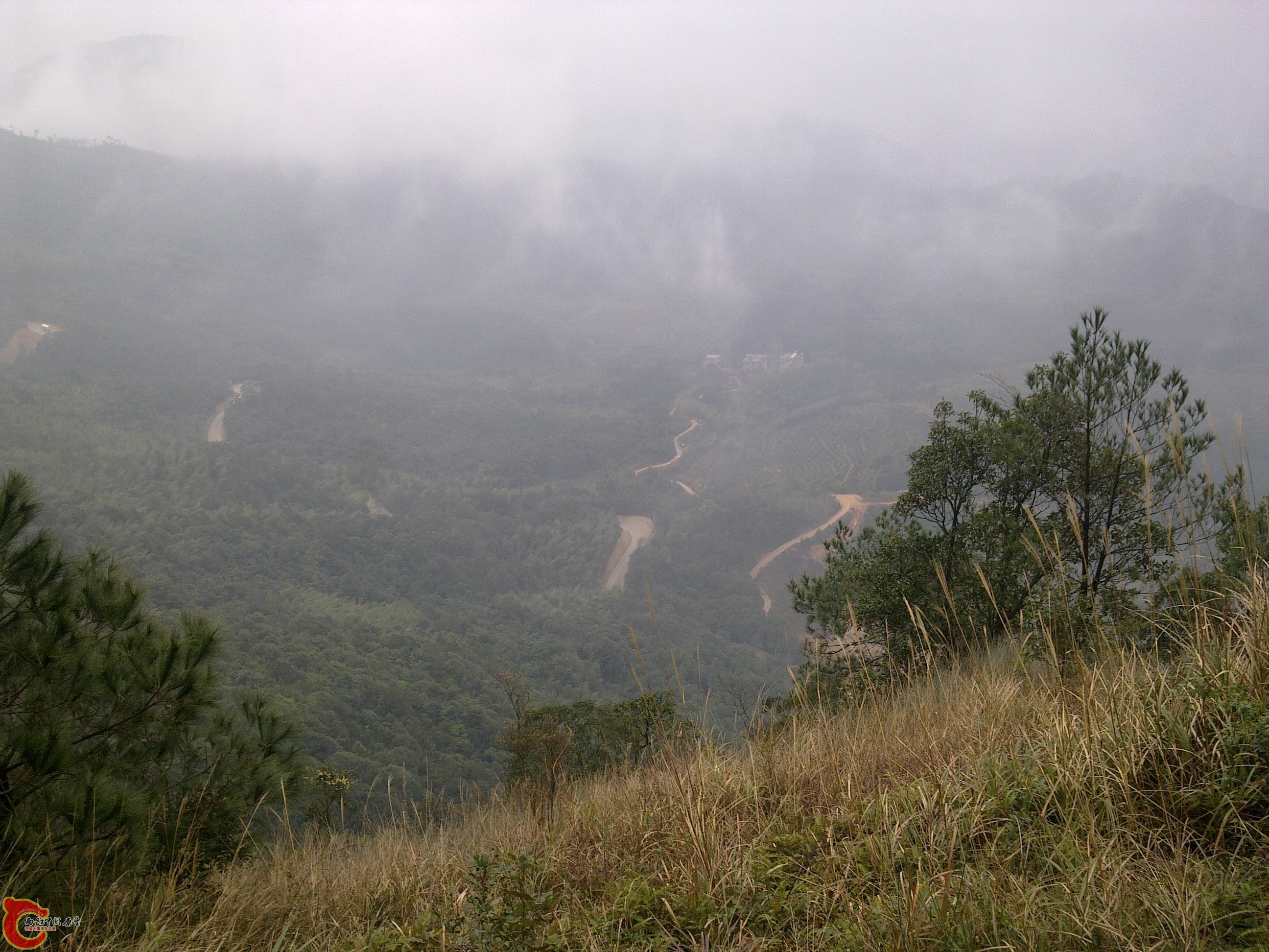 20120126142.jpg