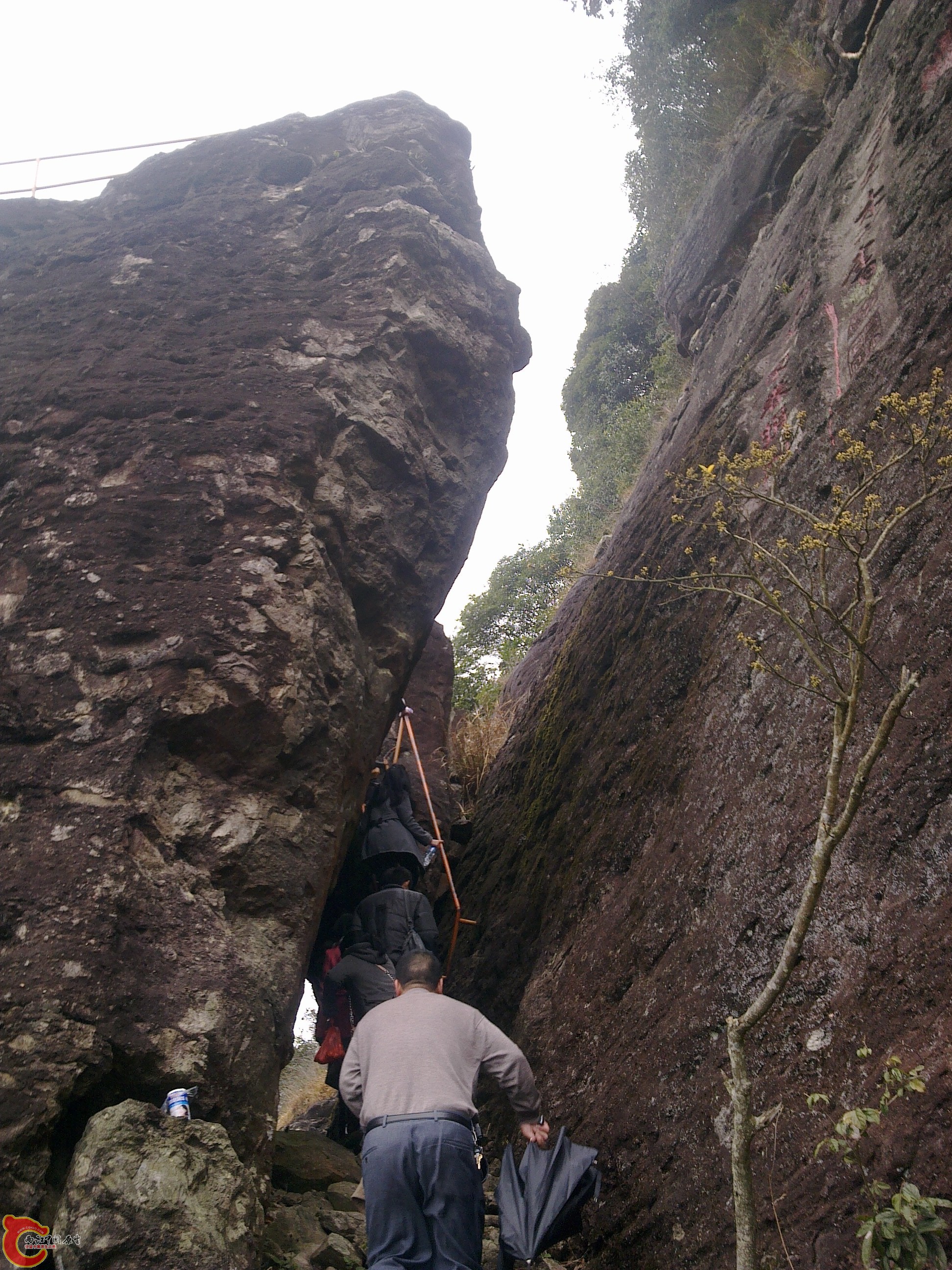20120126148.jpg