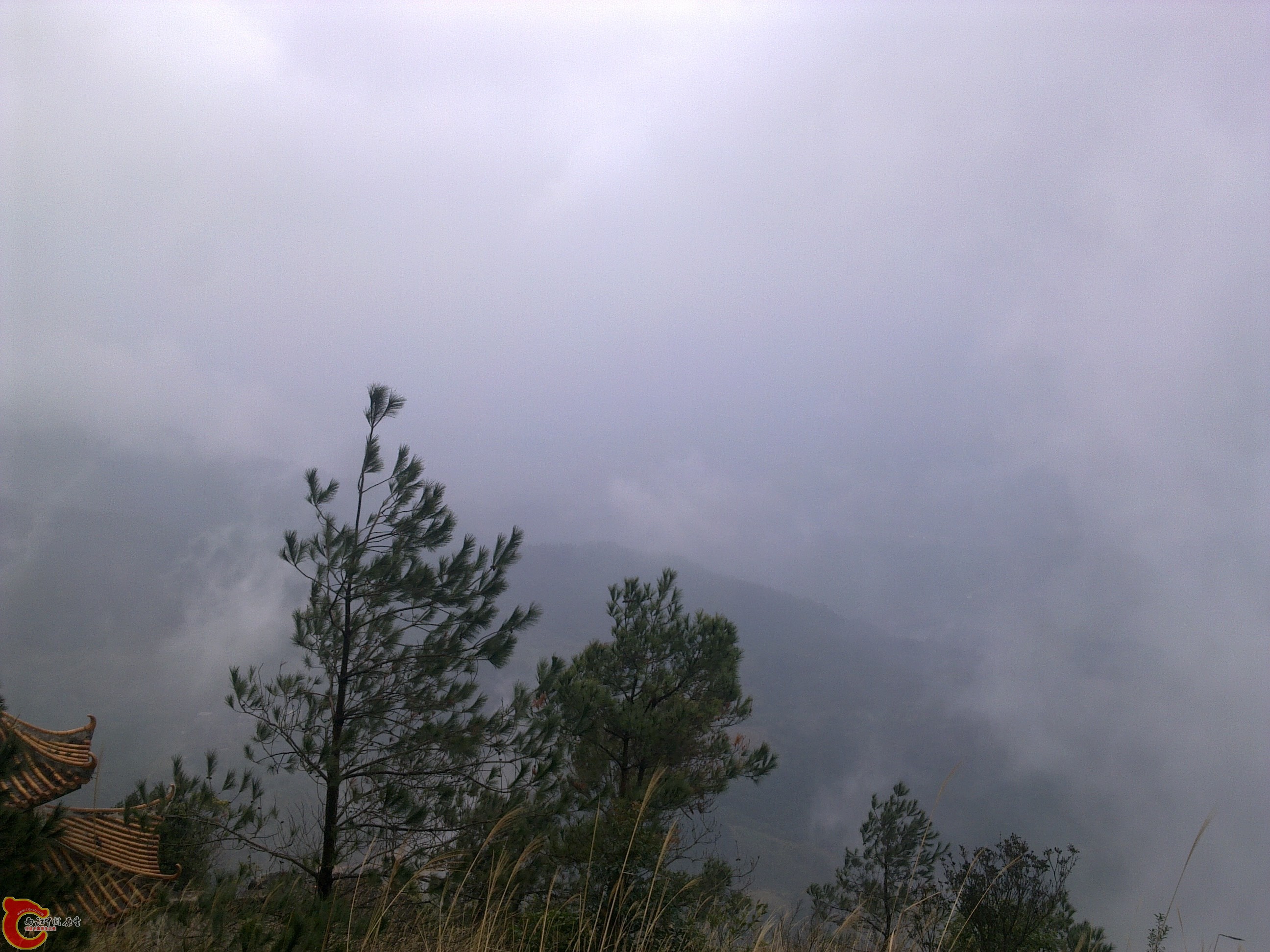 20120126149.jpg