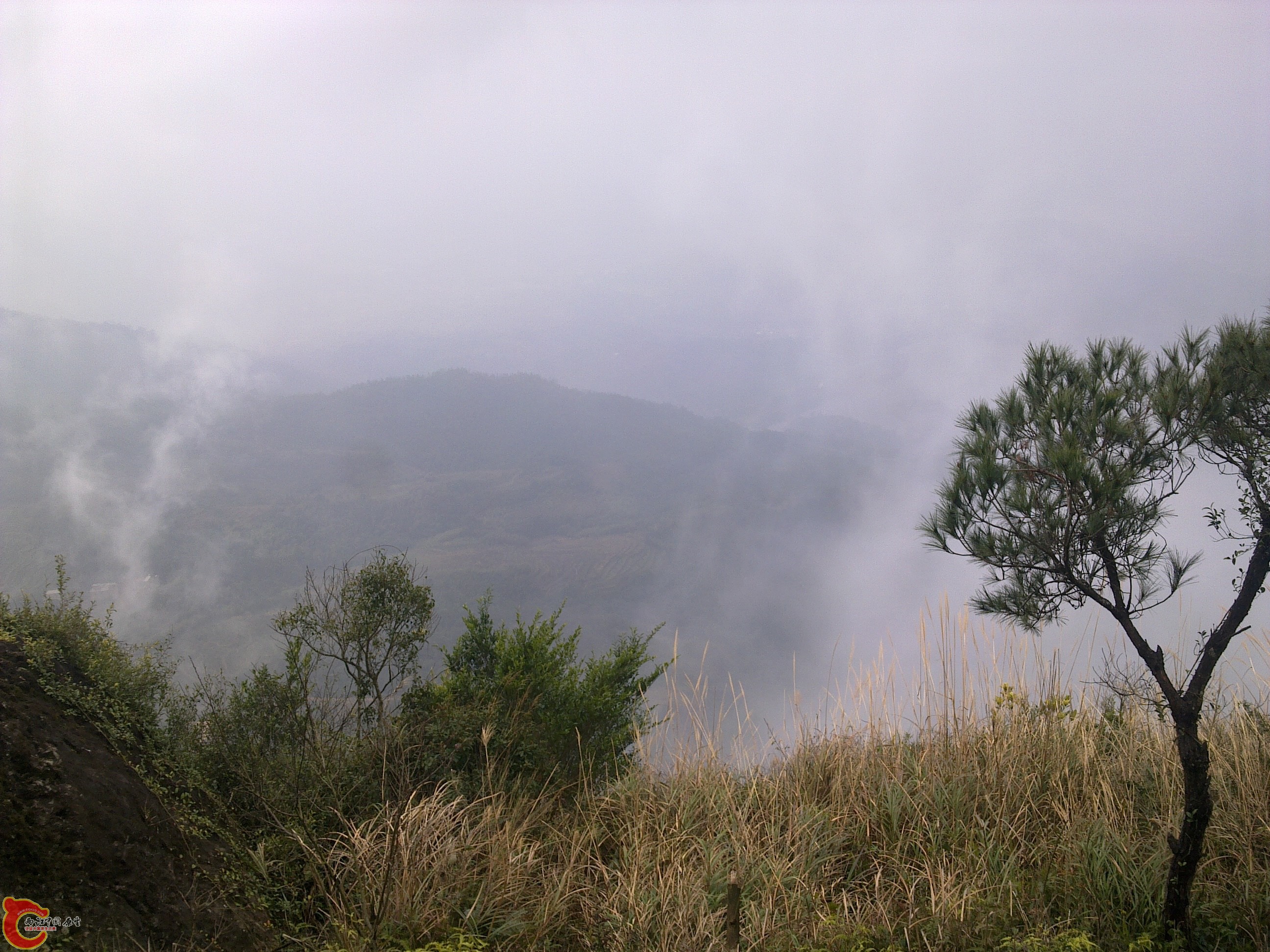 20120126152.jpg