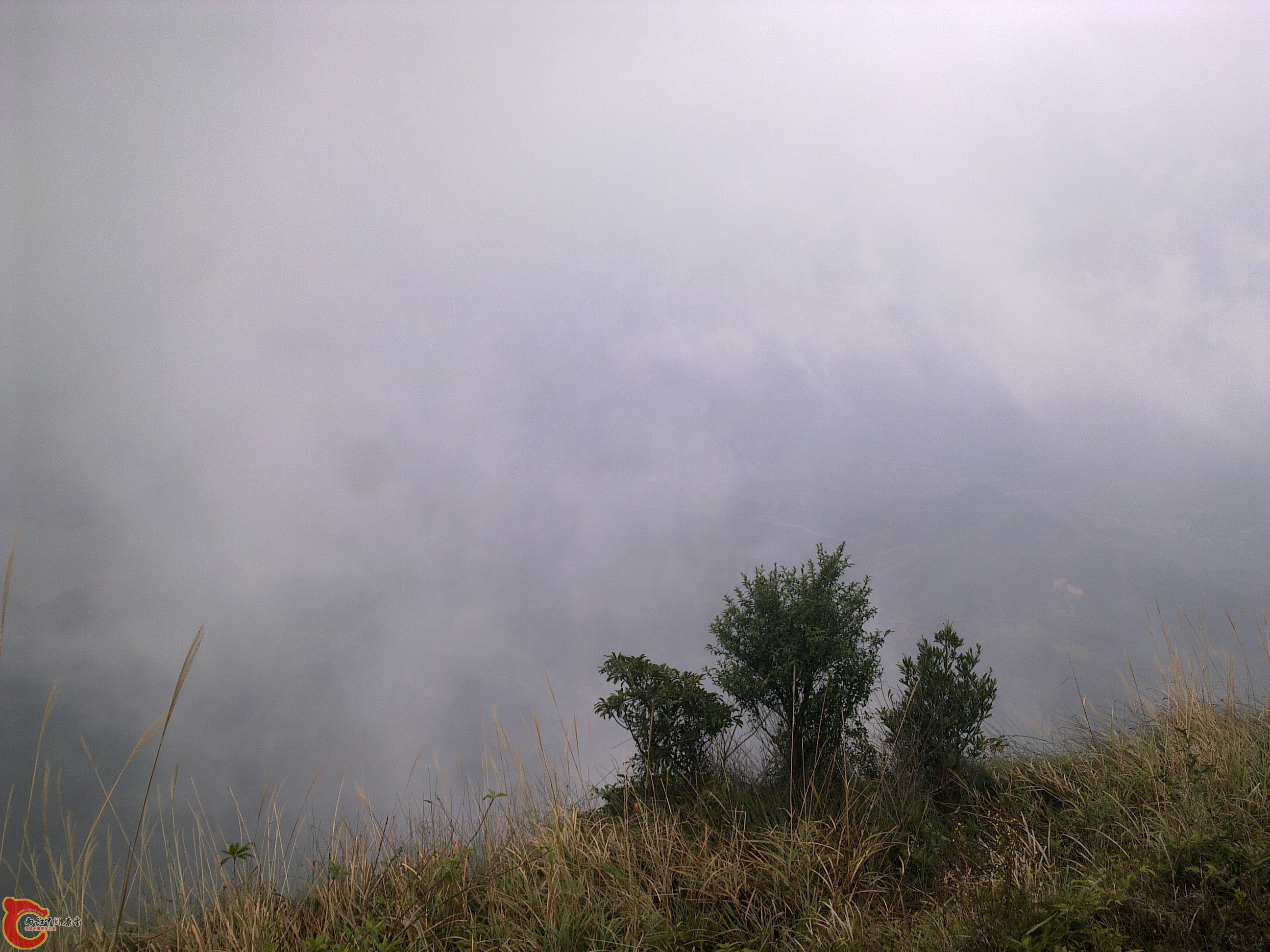 20120126154.jpg