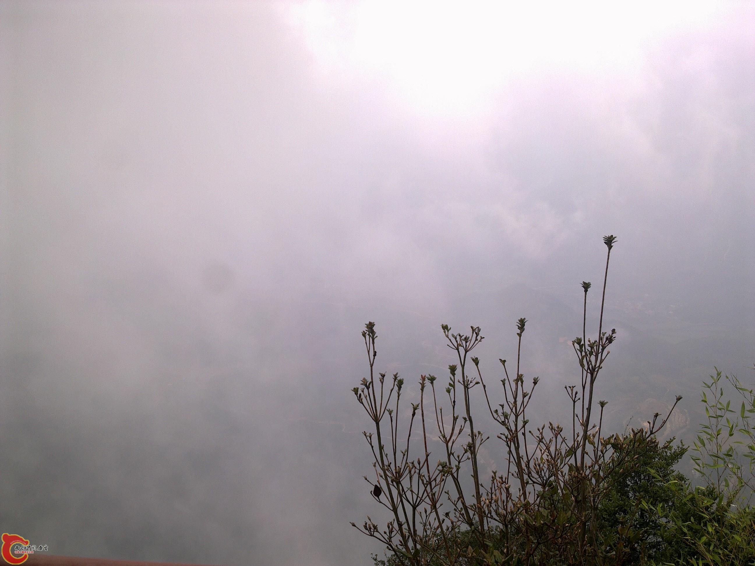 20120126157.jpg