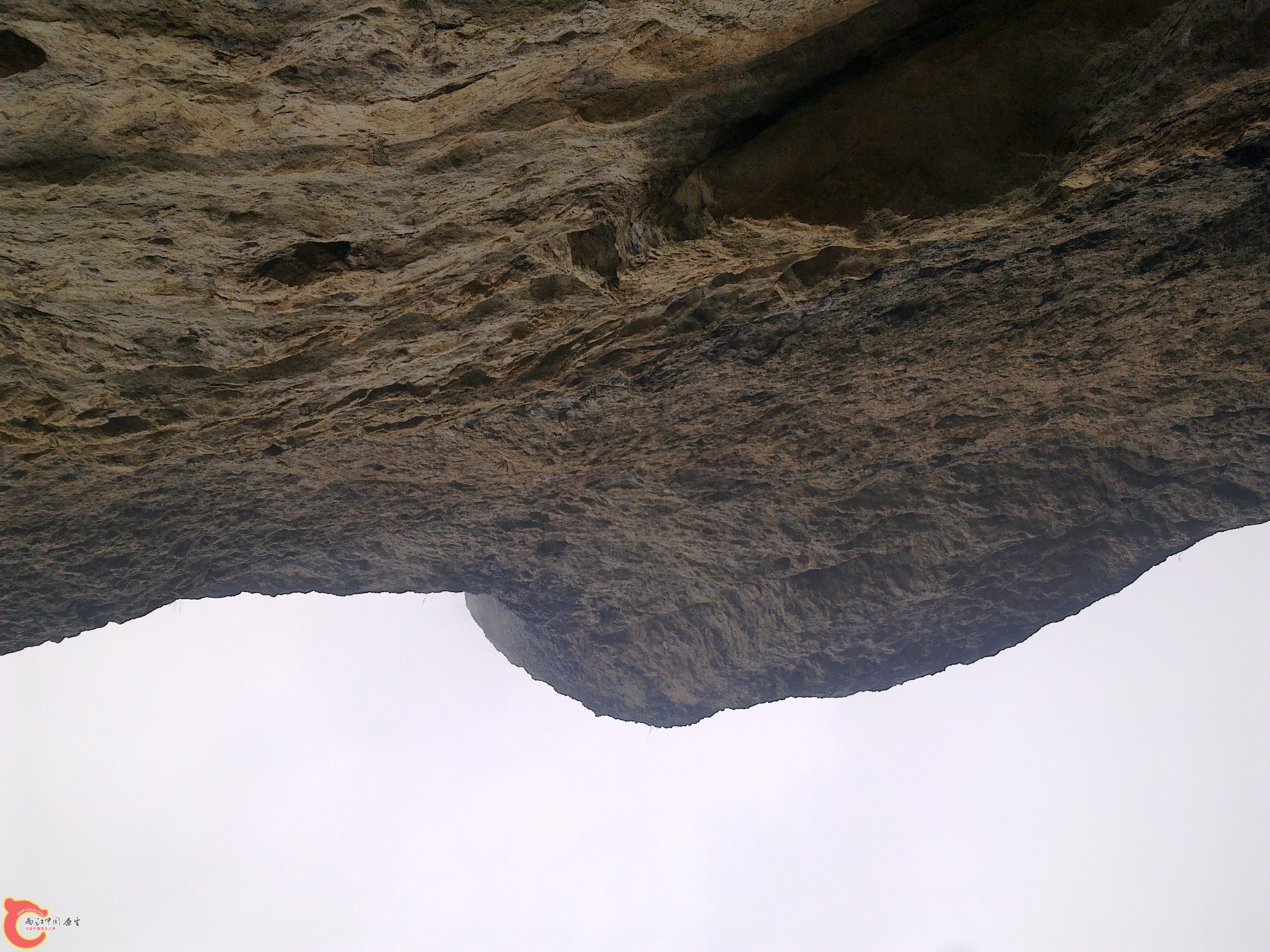 20120126179.jpg
