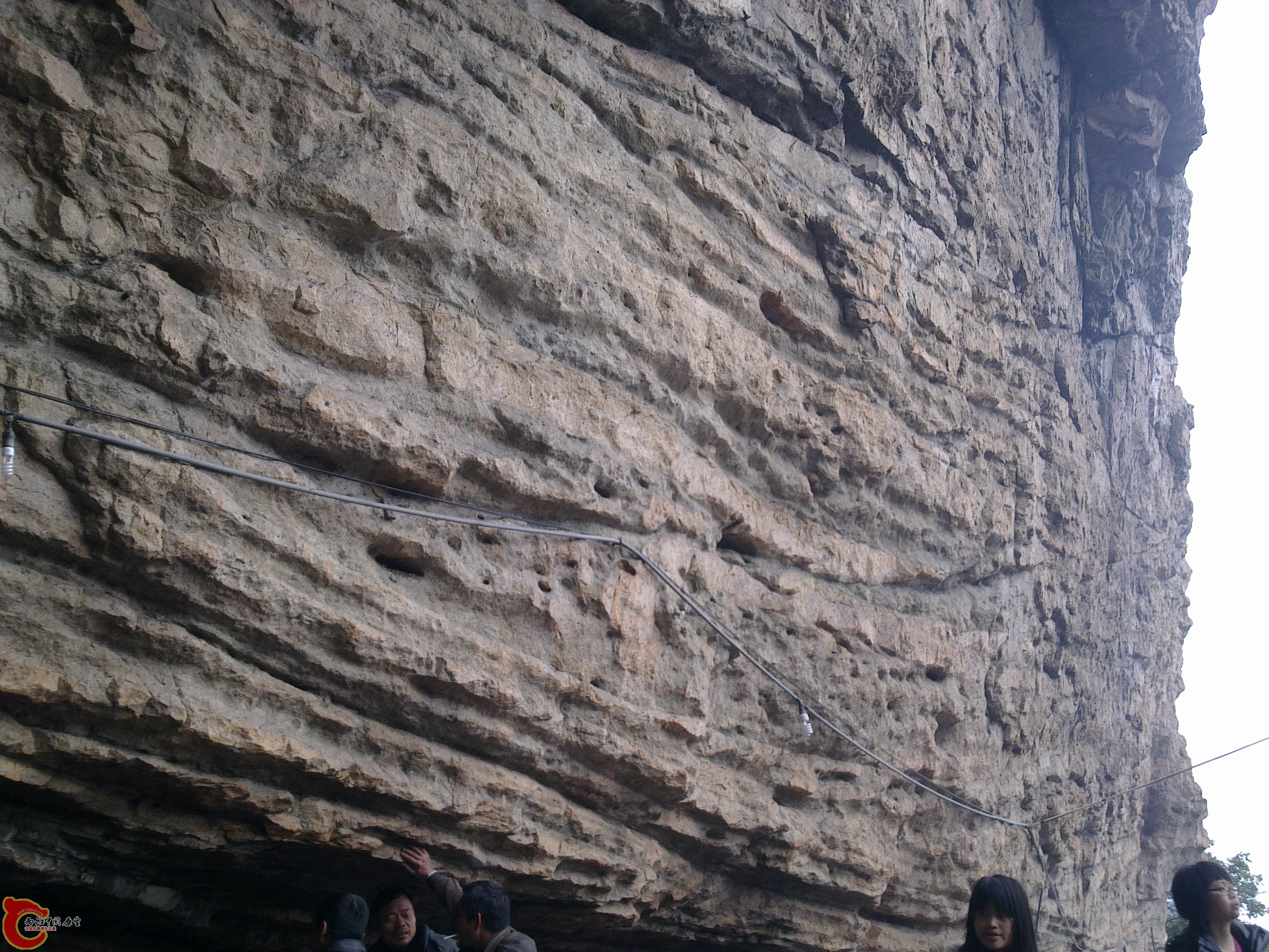 20120126186.jpg