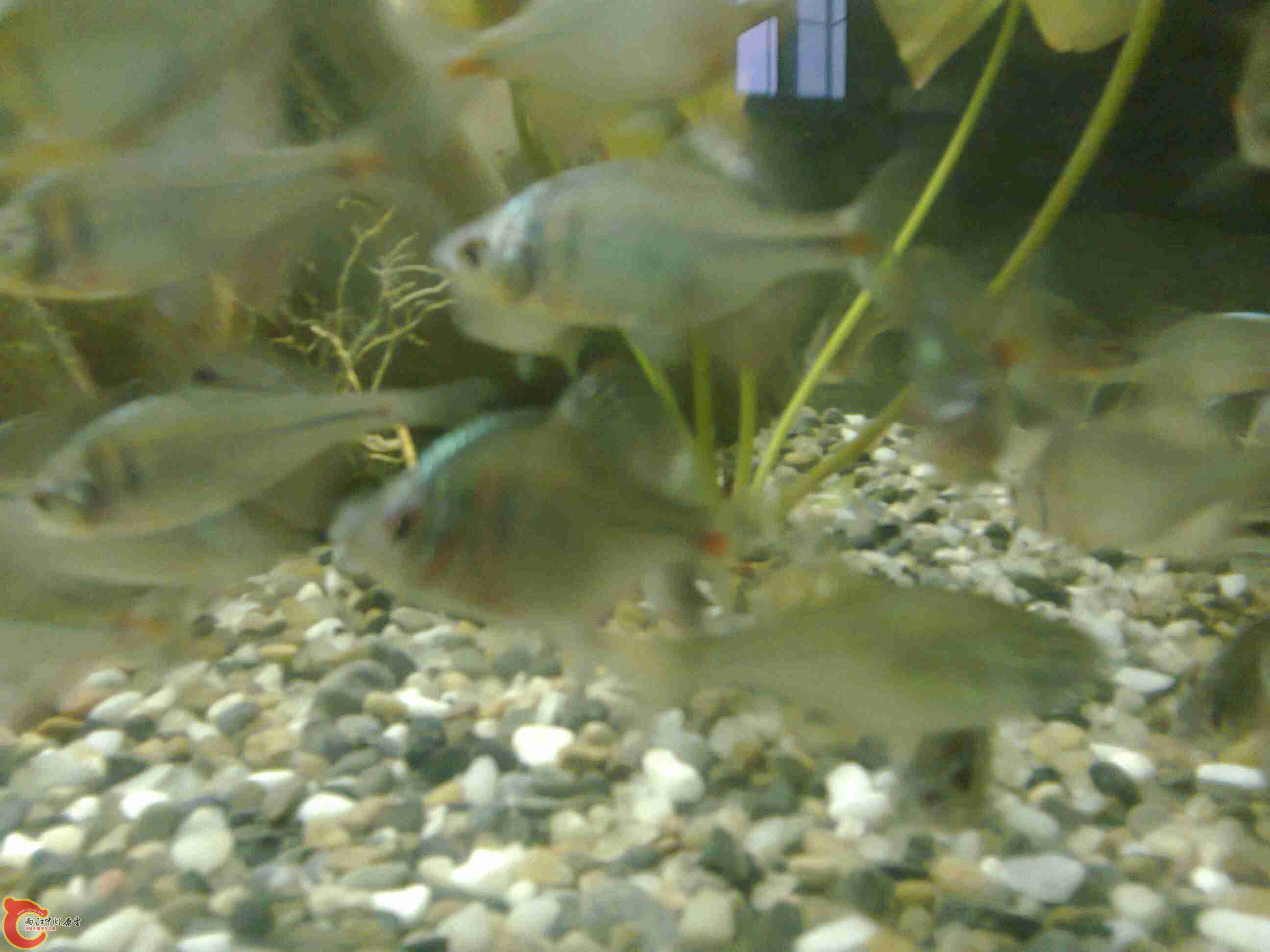 照片0735.jpg