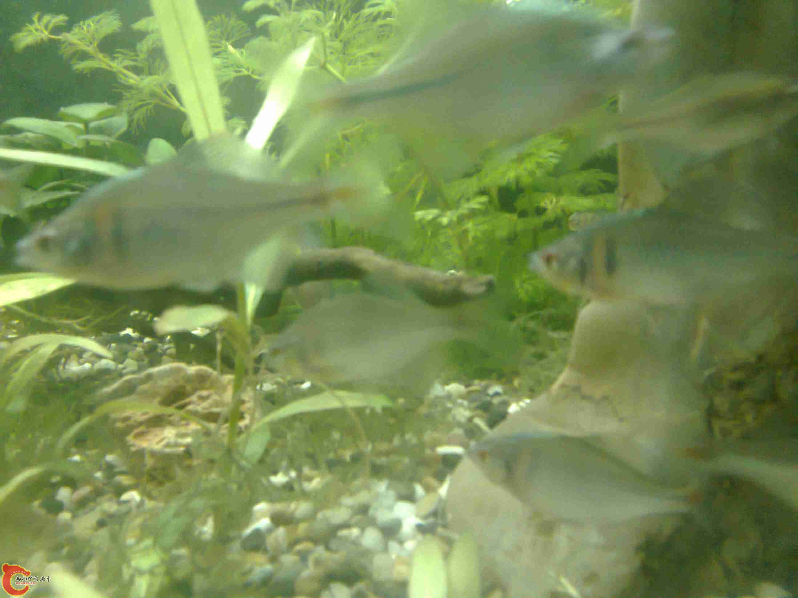 照片0738.jpg