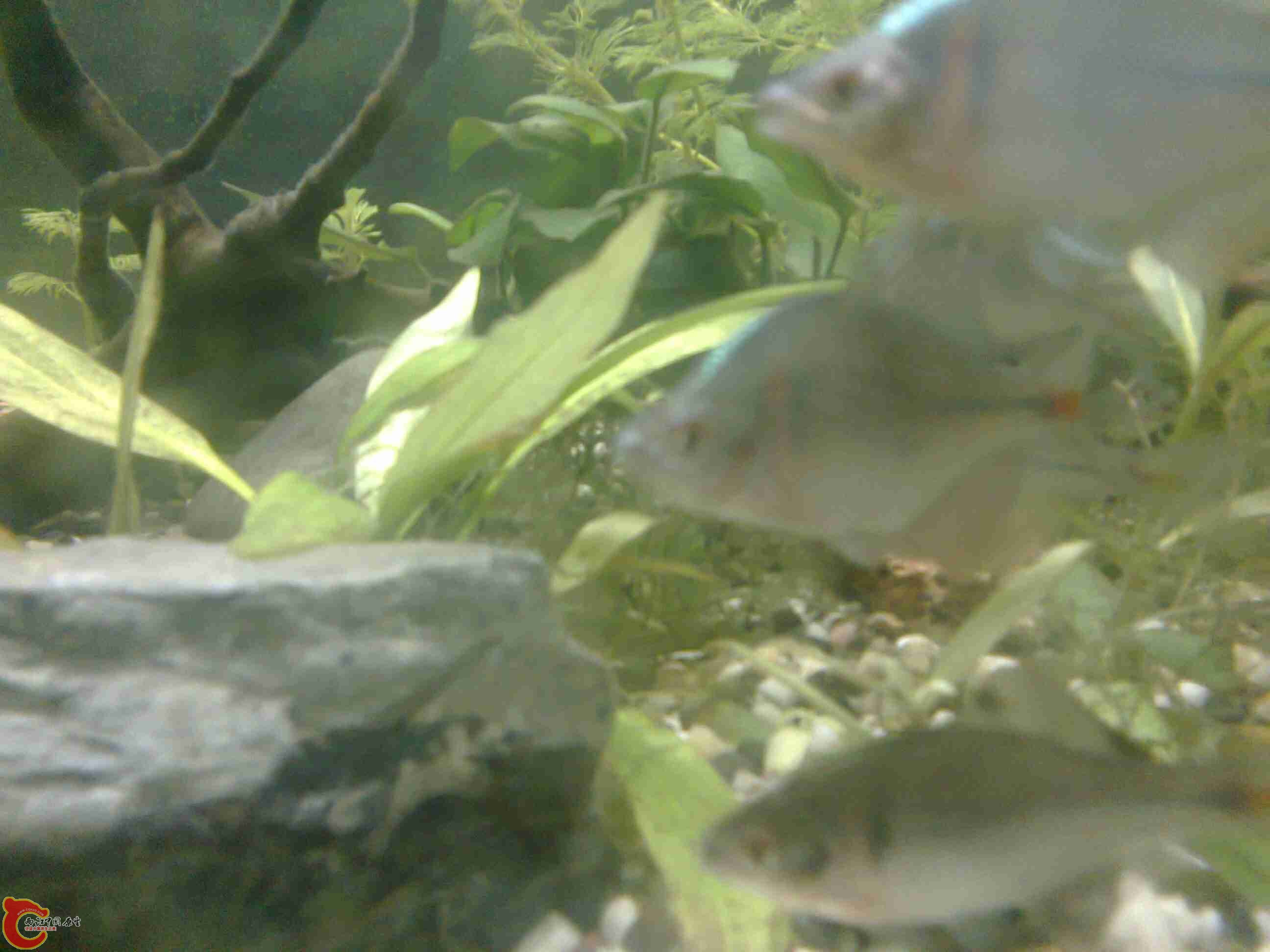 照片0741.jpg