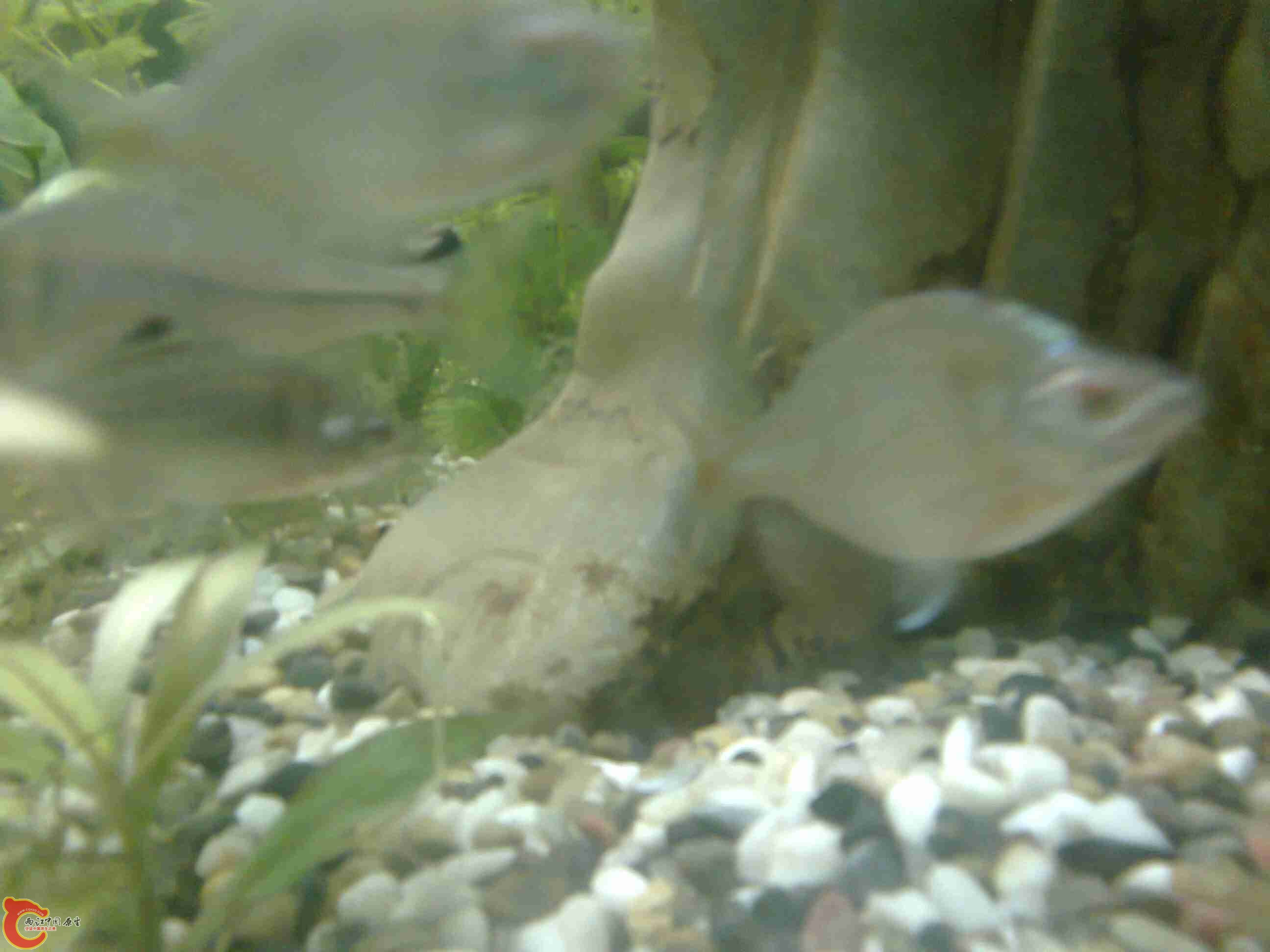照片0743.jpg