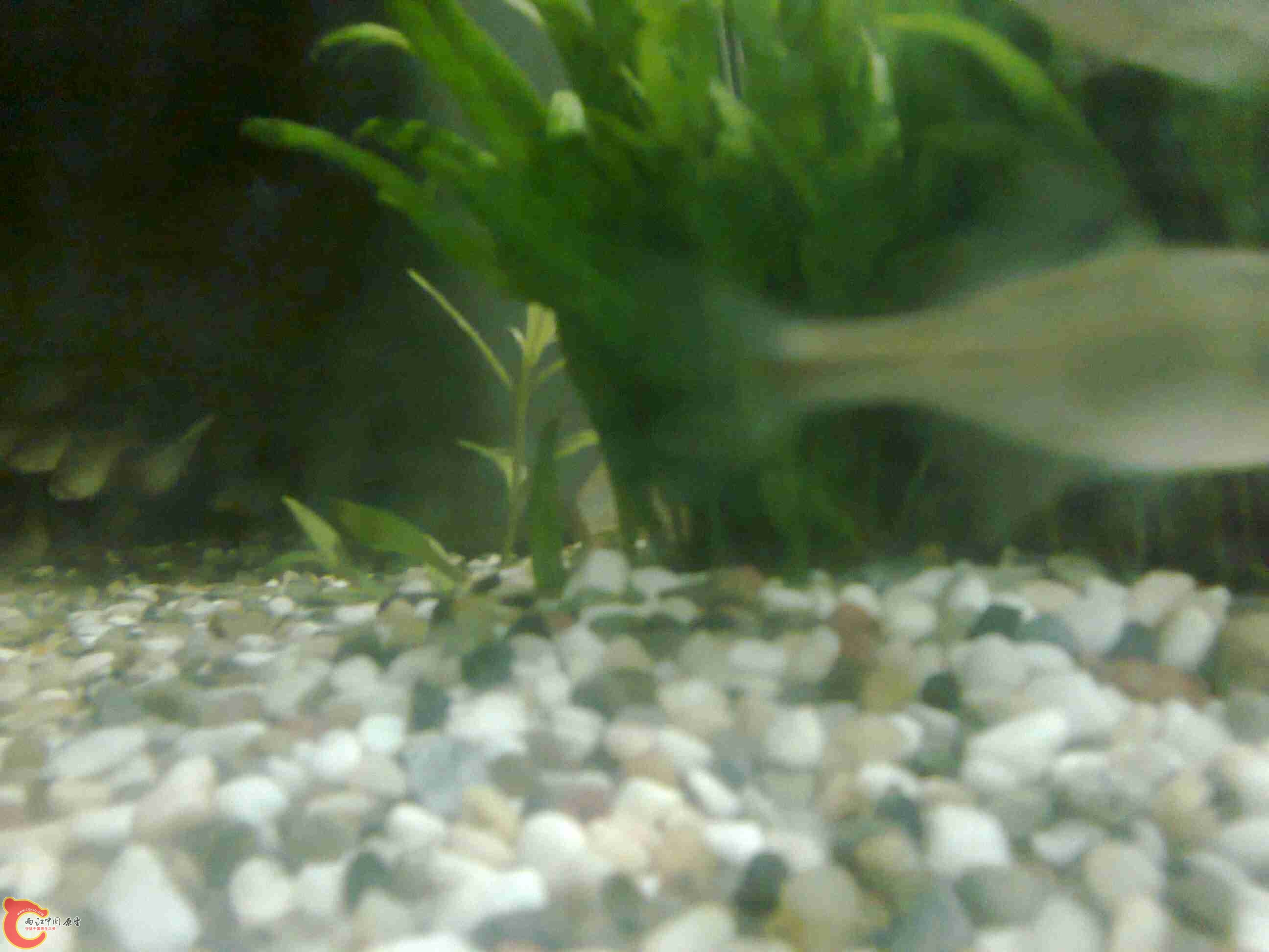 照片0745.jpg