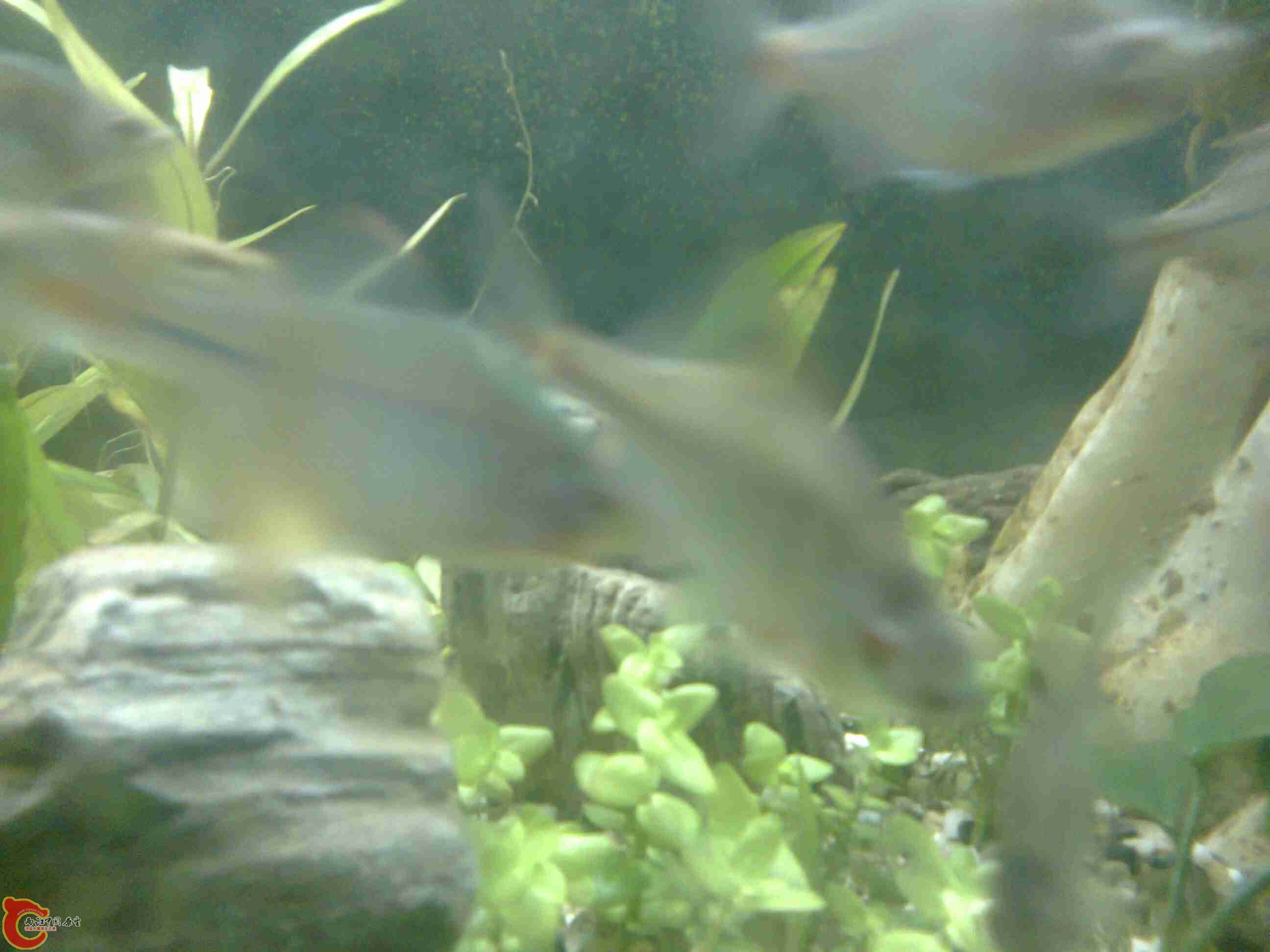 照片0750.jpg
