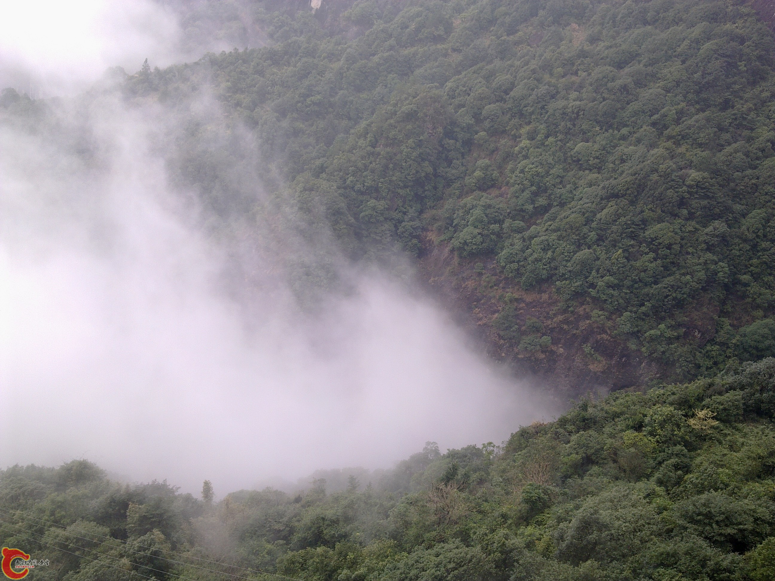 20120126187.jpg