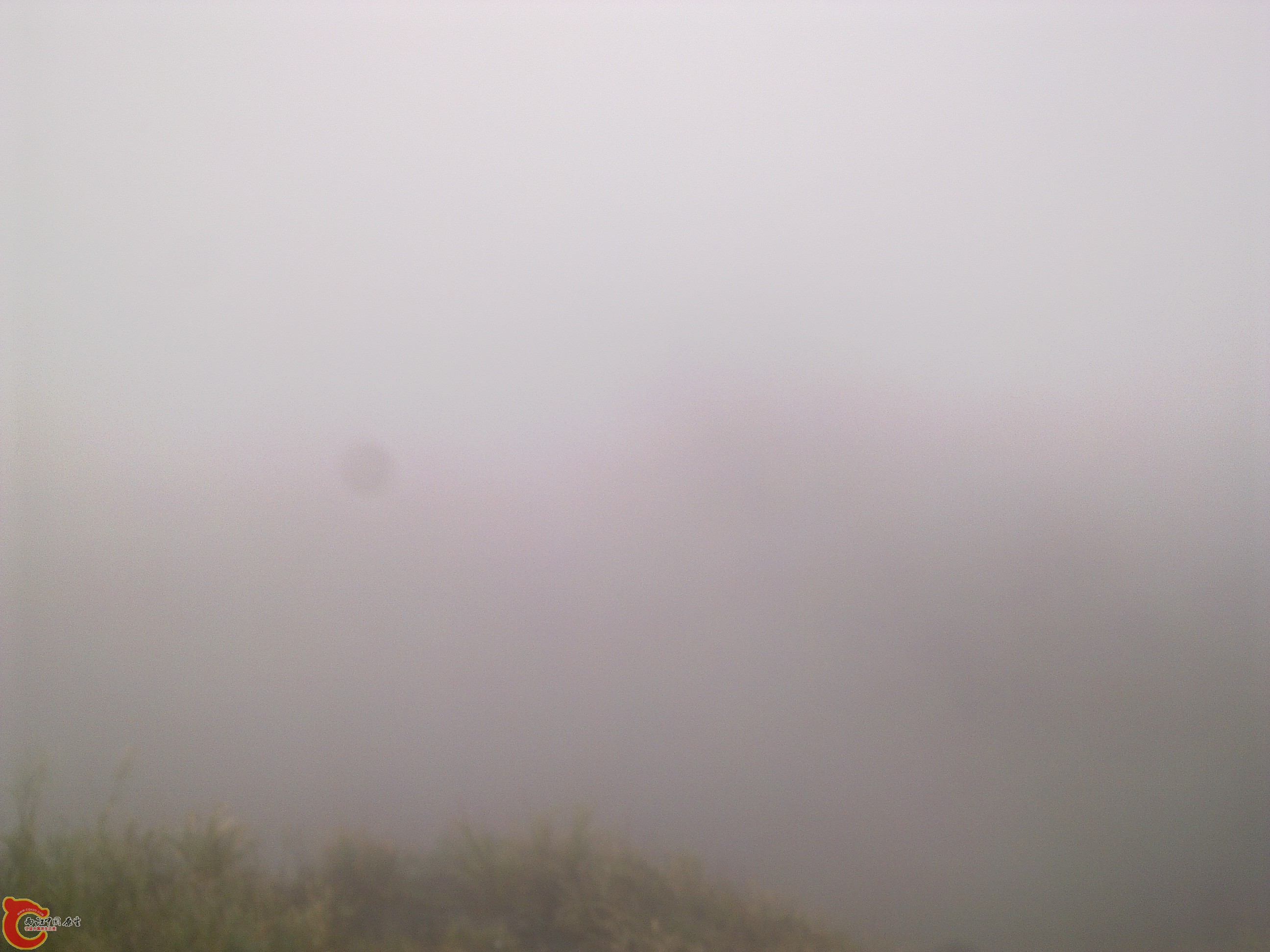 20120126189.jpg