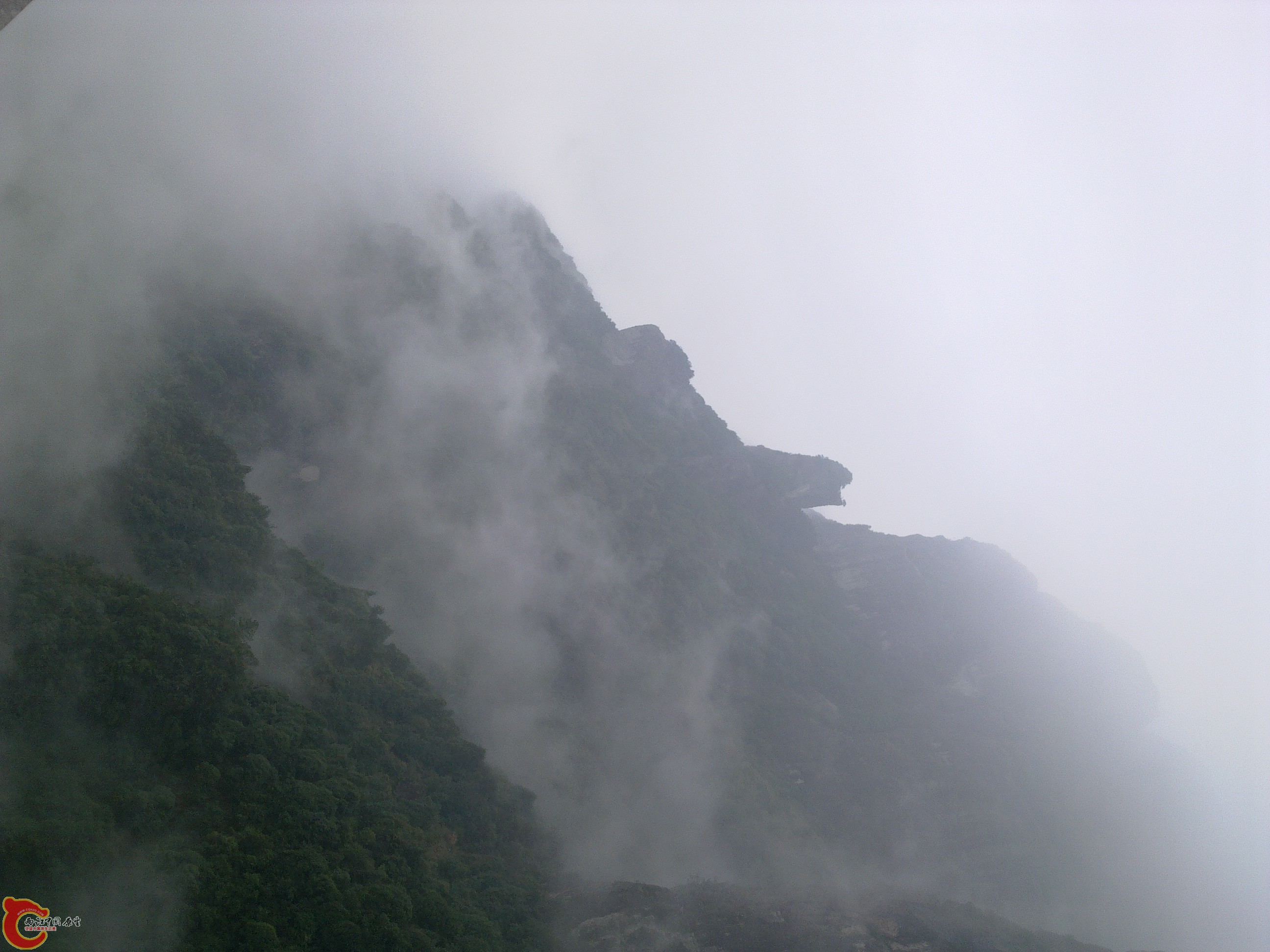 20120126202.jpg