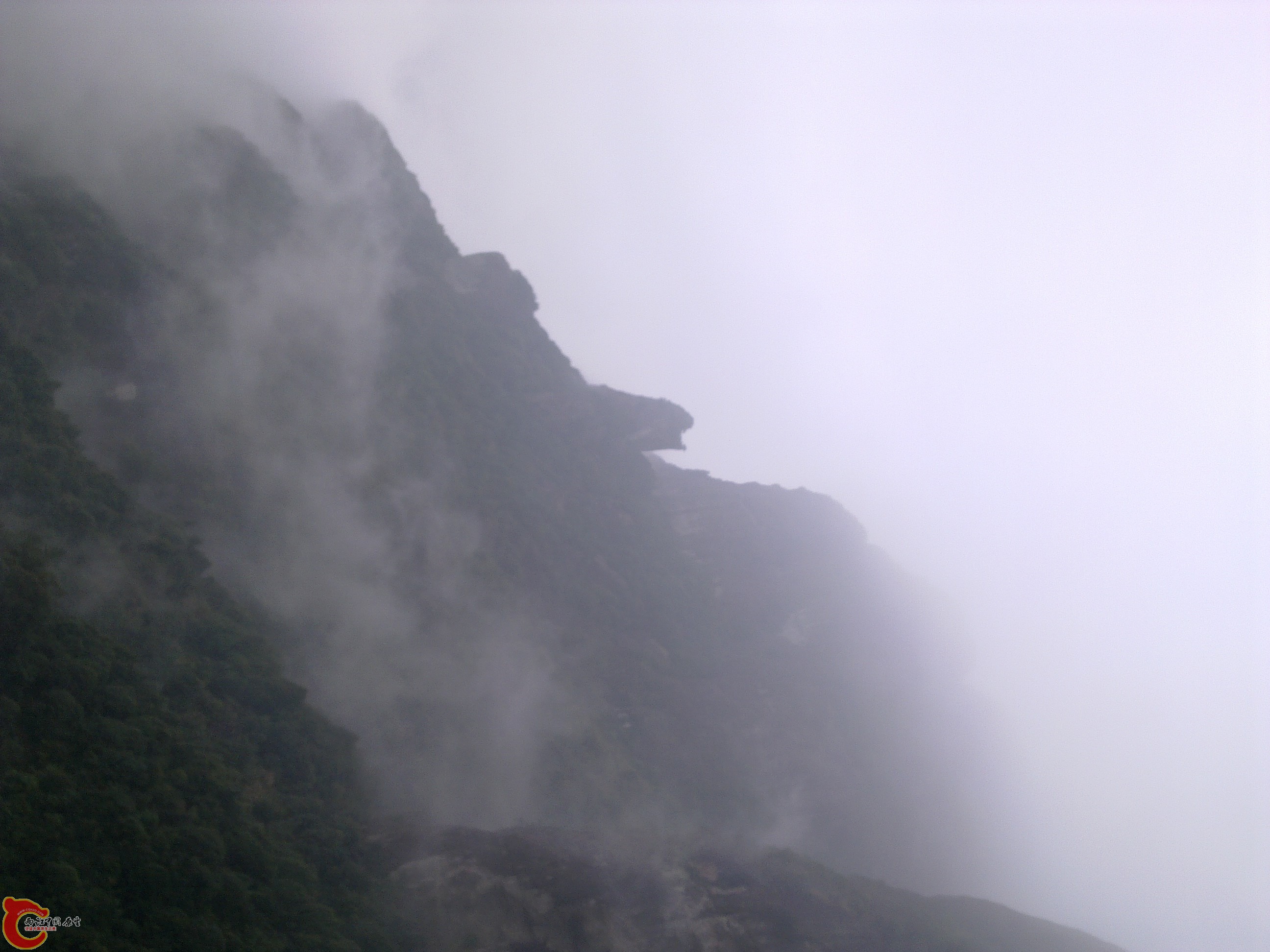 20120126203.jpg