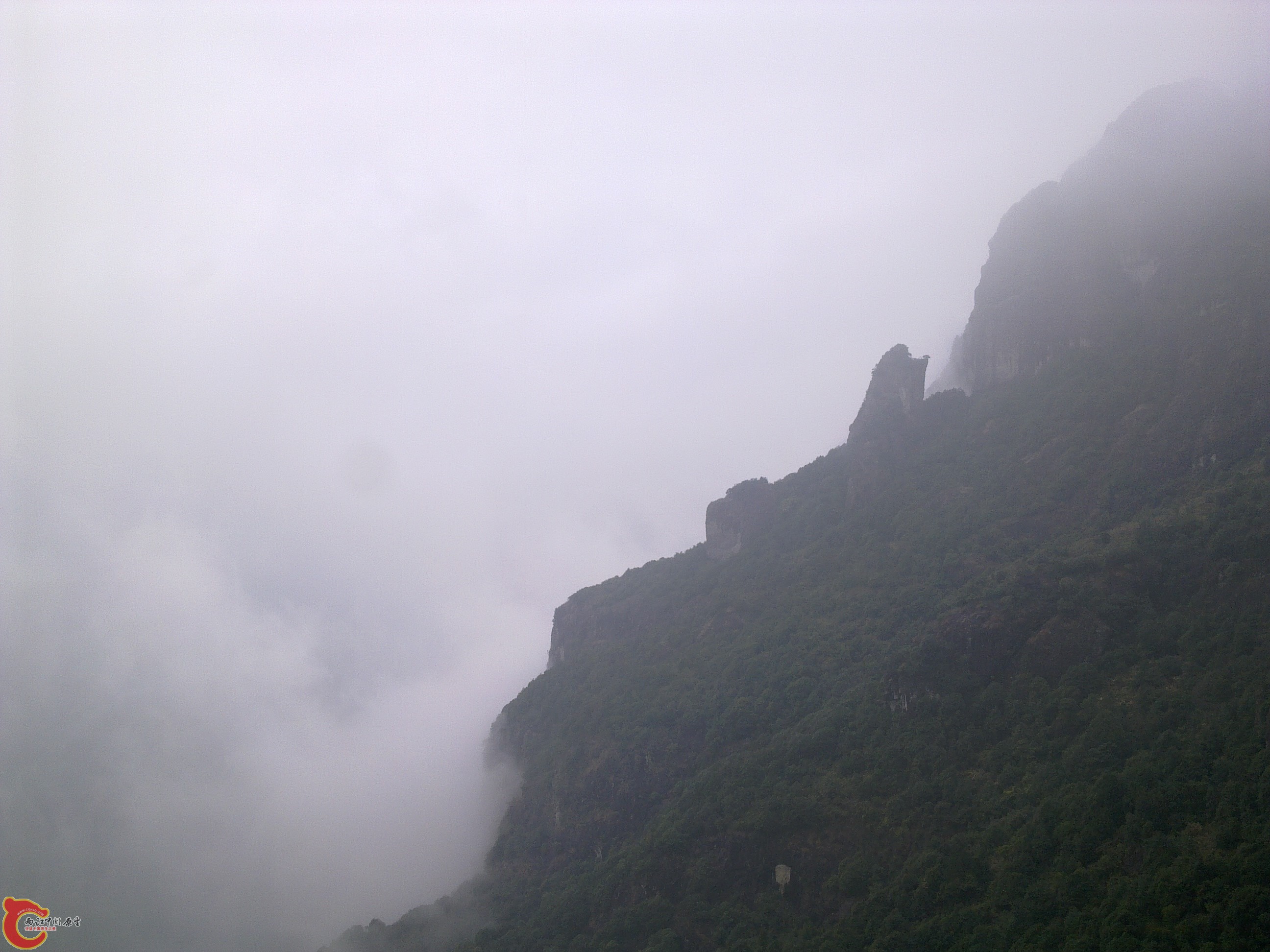 20120126217.jpg