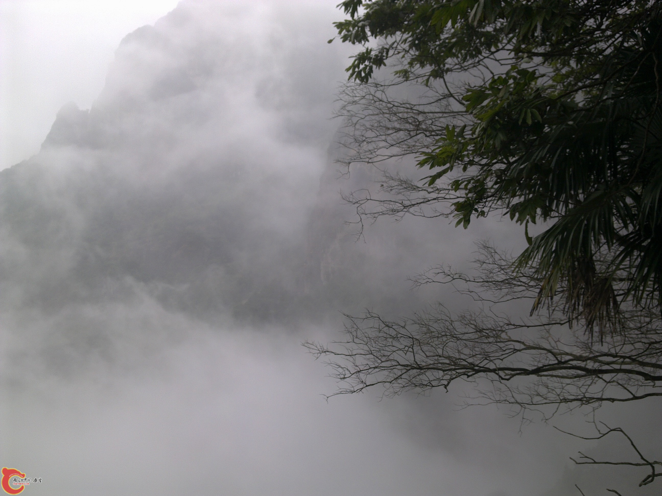 20120126219.jpg