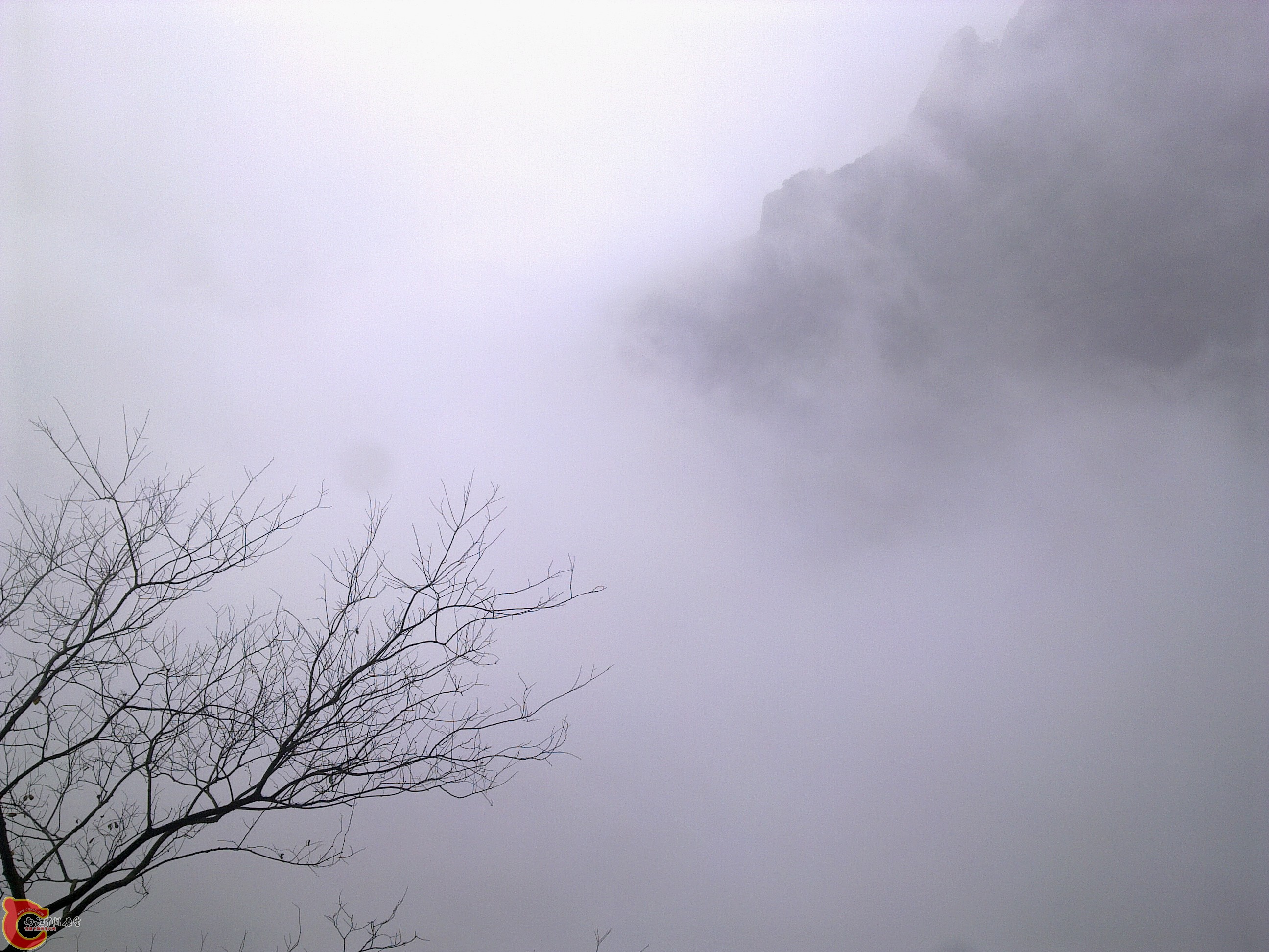 20120126220.jpg