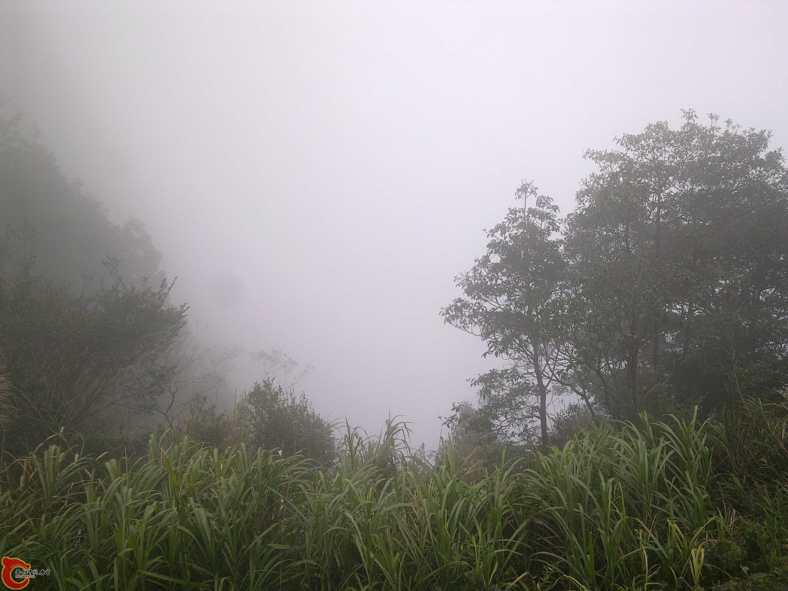 20120126223.jpg