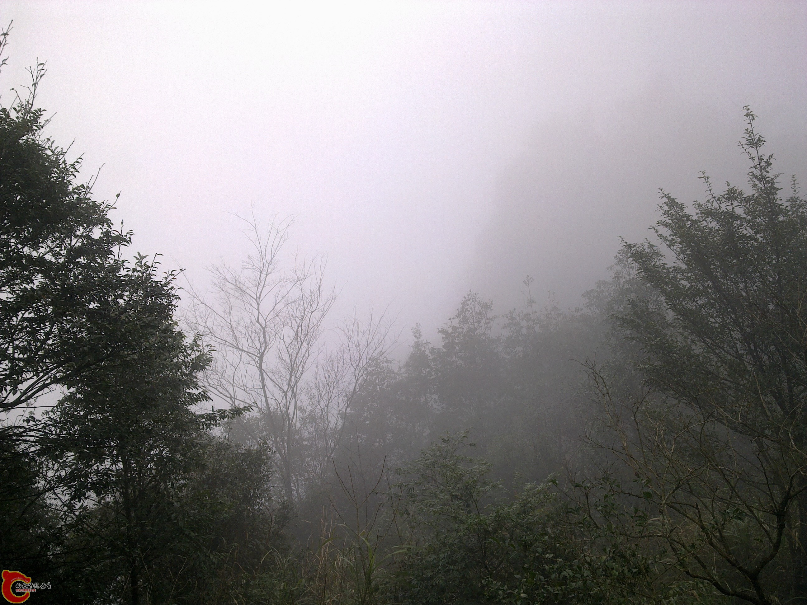 20120126224.jpg