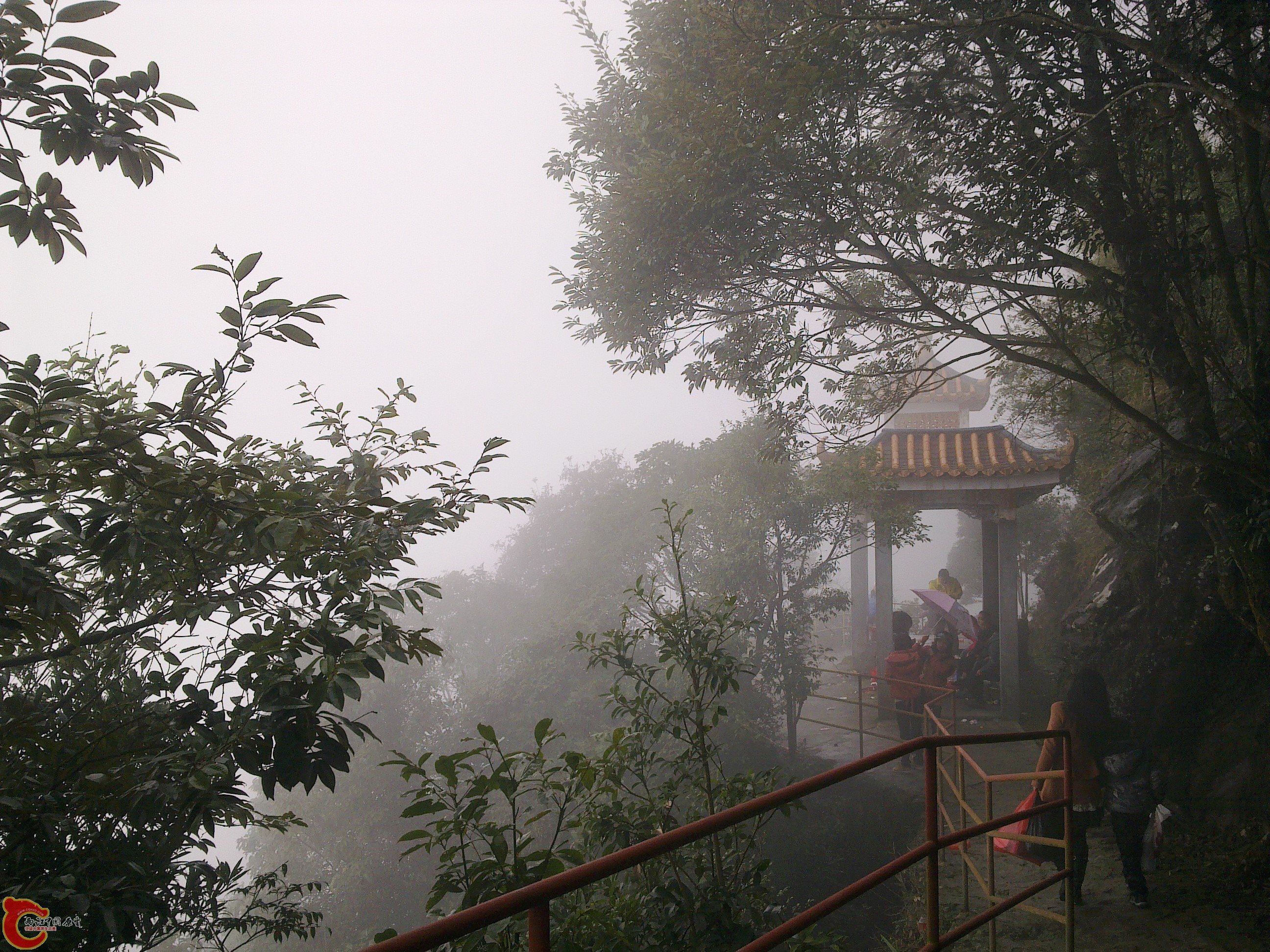 20120126225.jpg