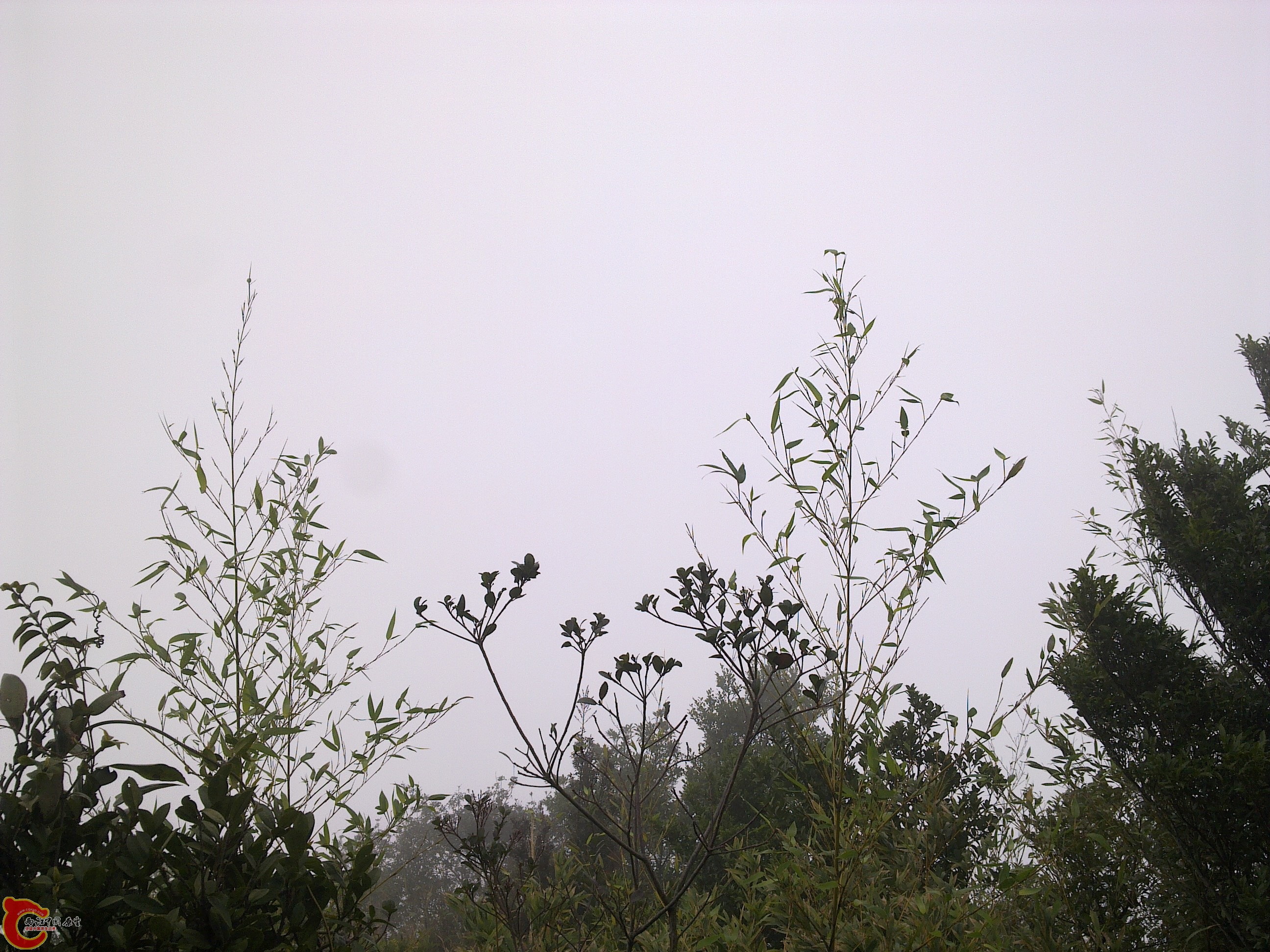 20120126228.jpg