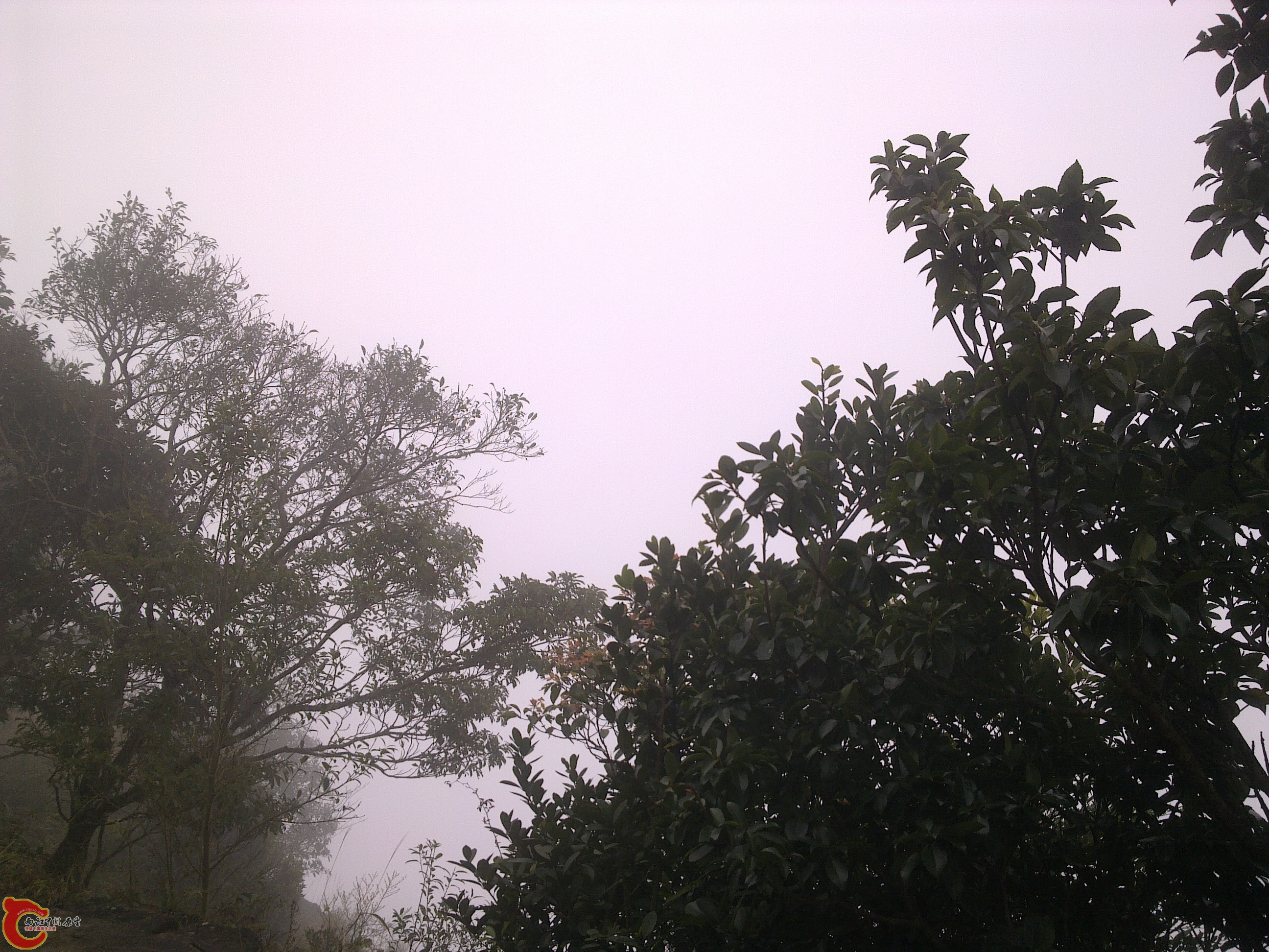 20120126229.jpg
