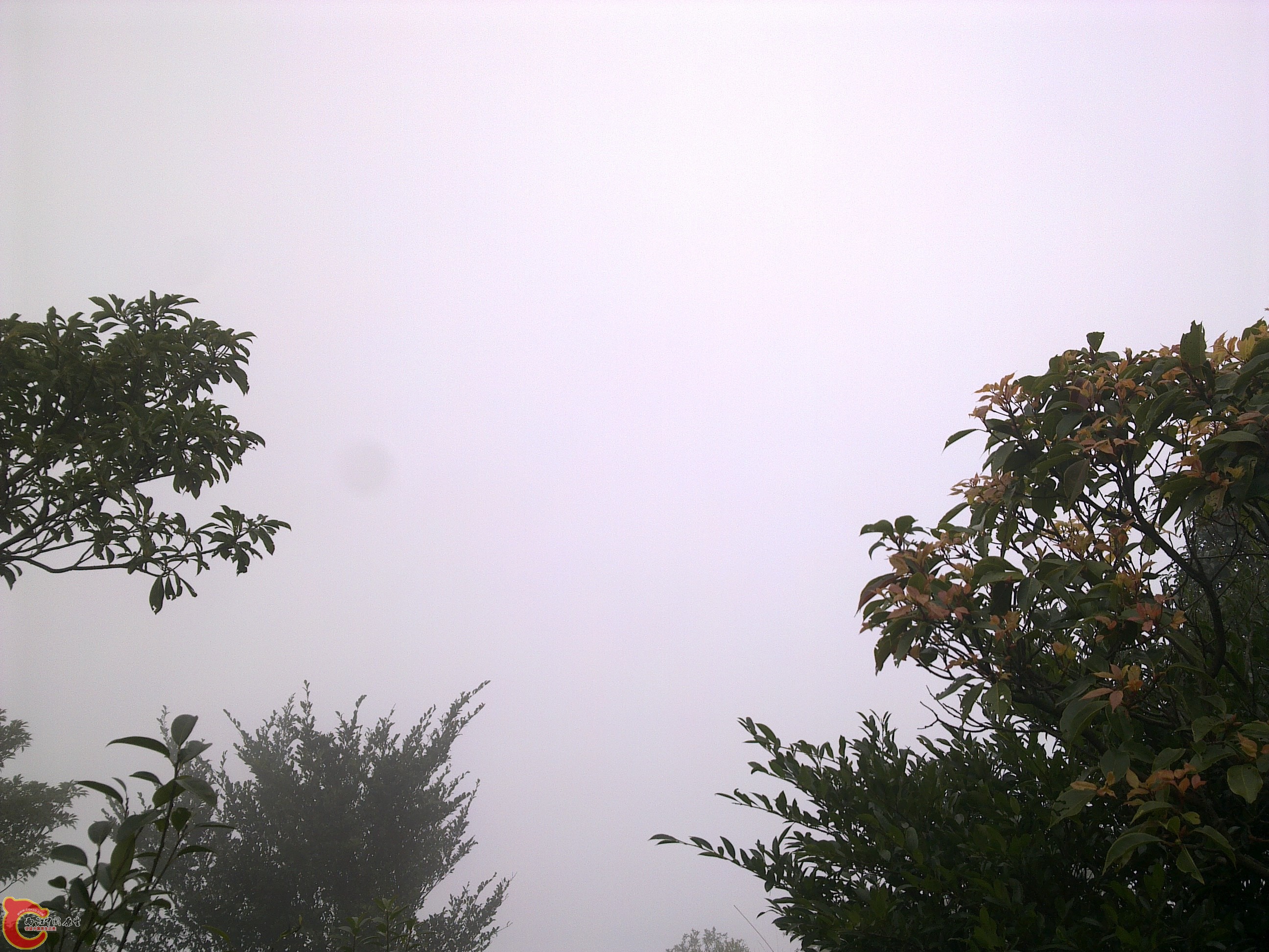20120126230.jpg