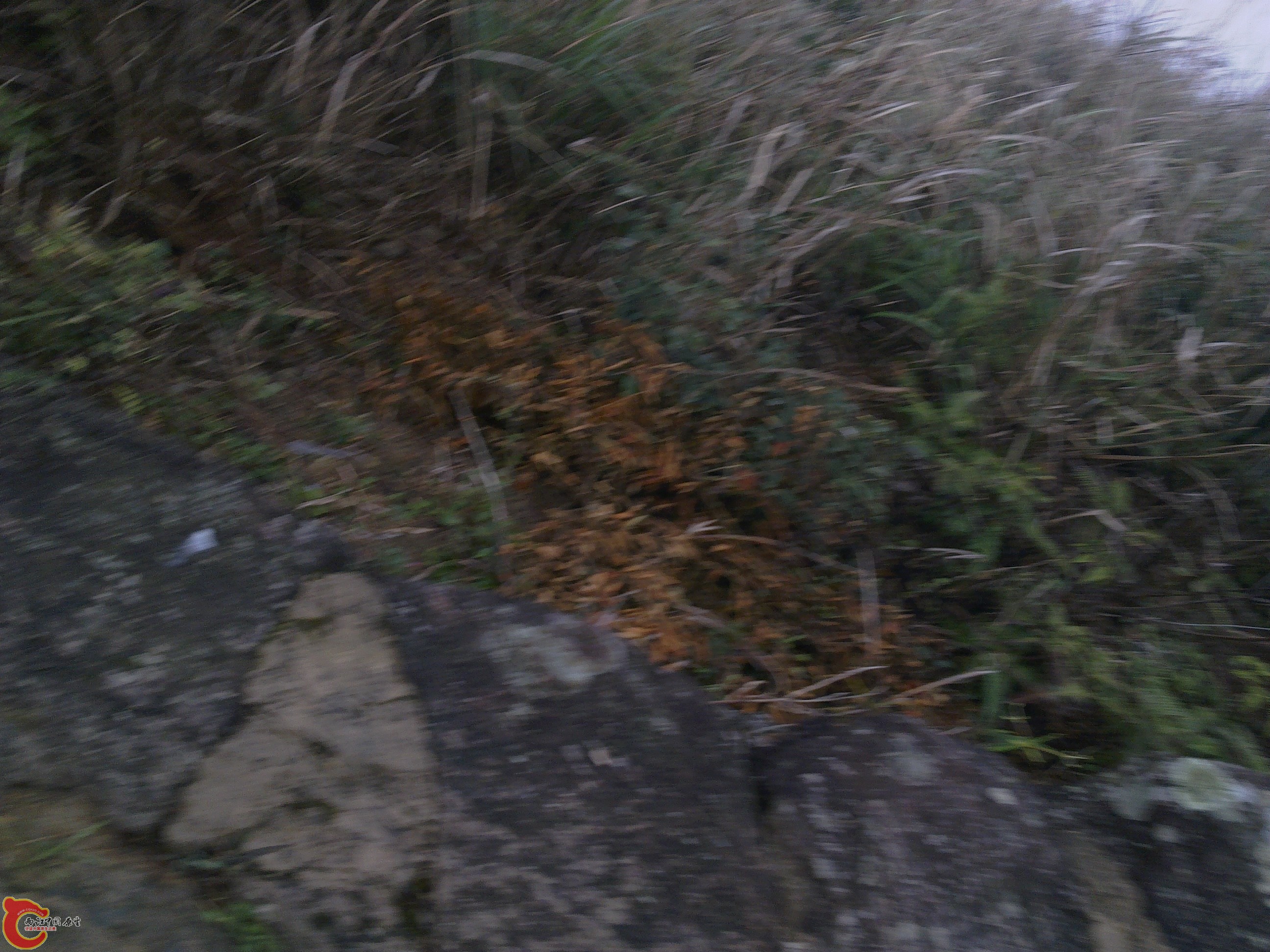 20120126232.jpg