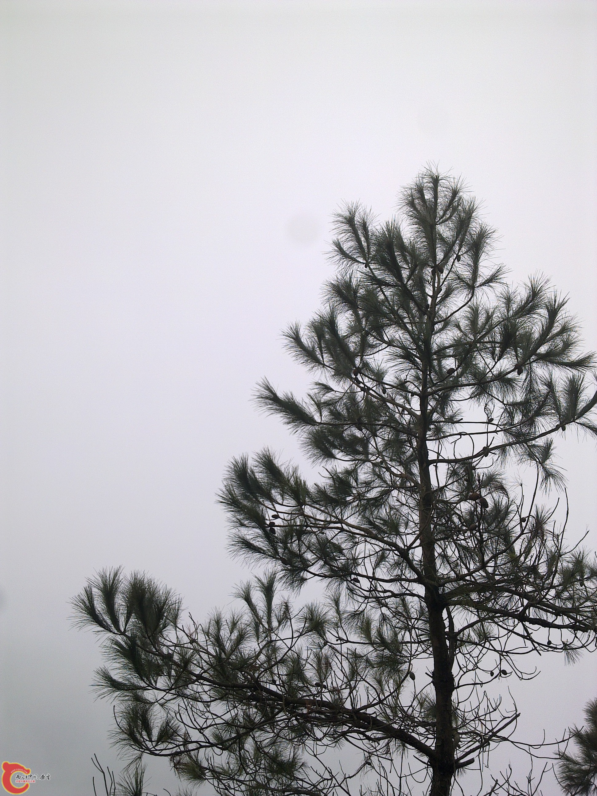 20120126233.jpg