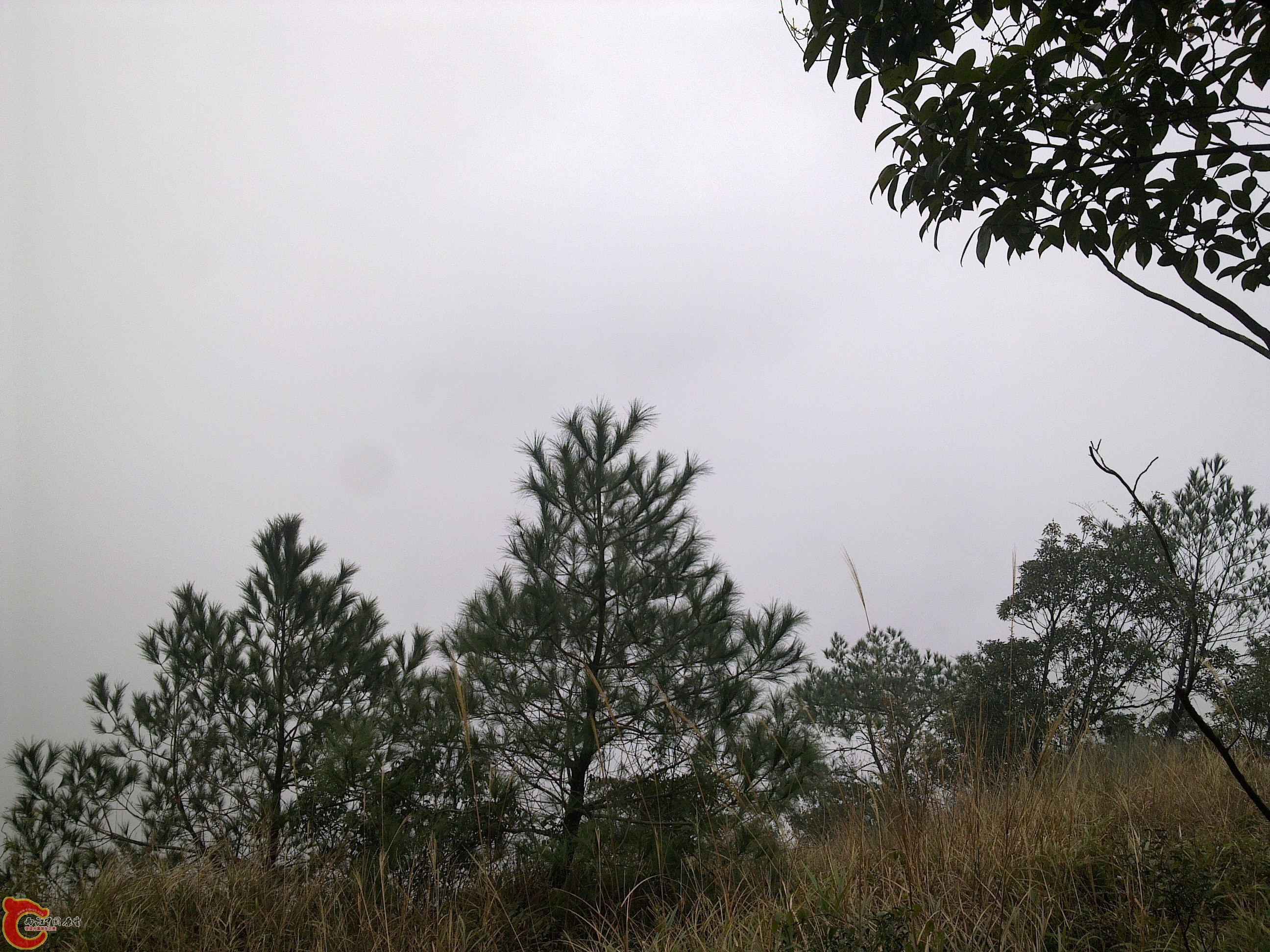 20120126234.jpg