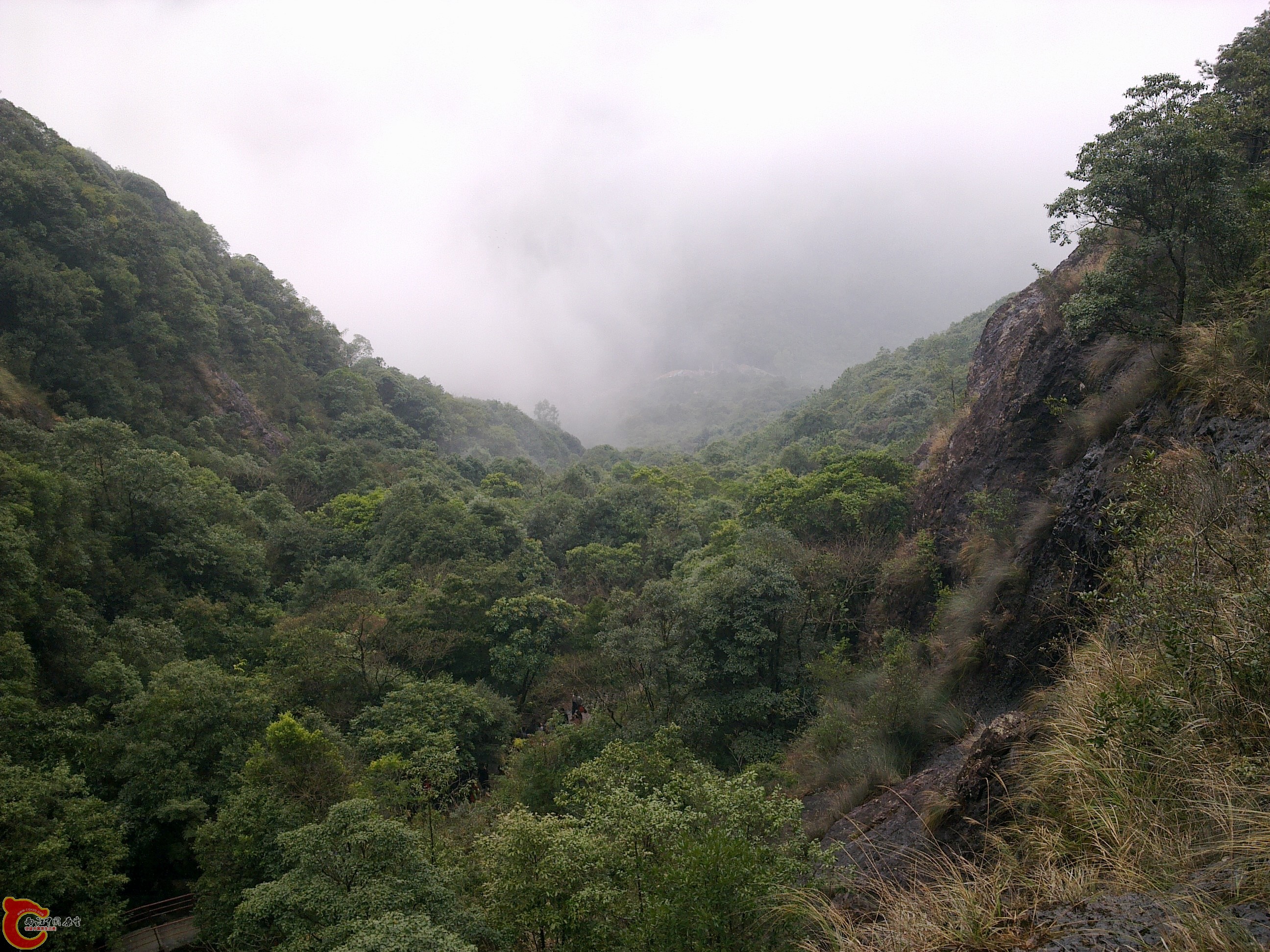 20120126236.jpg