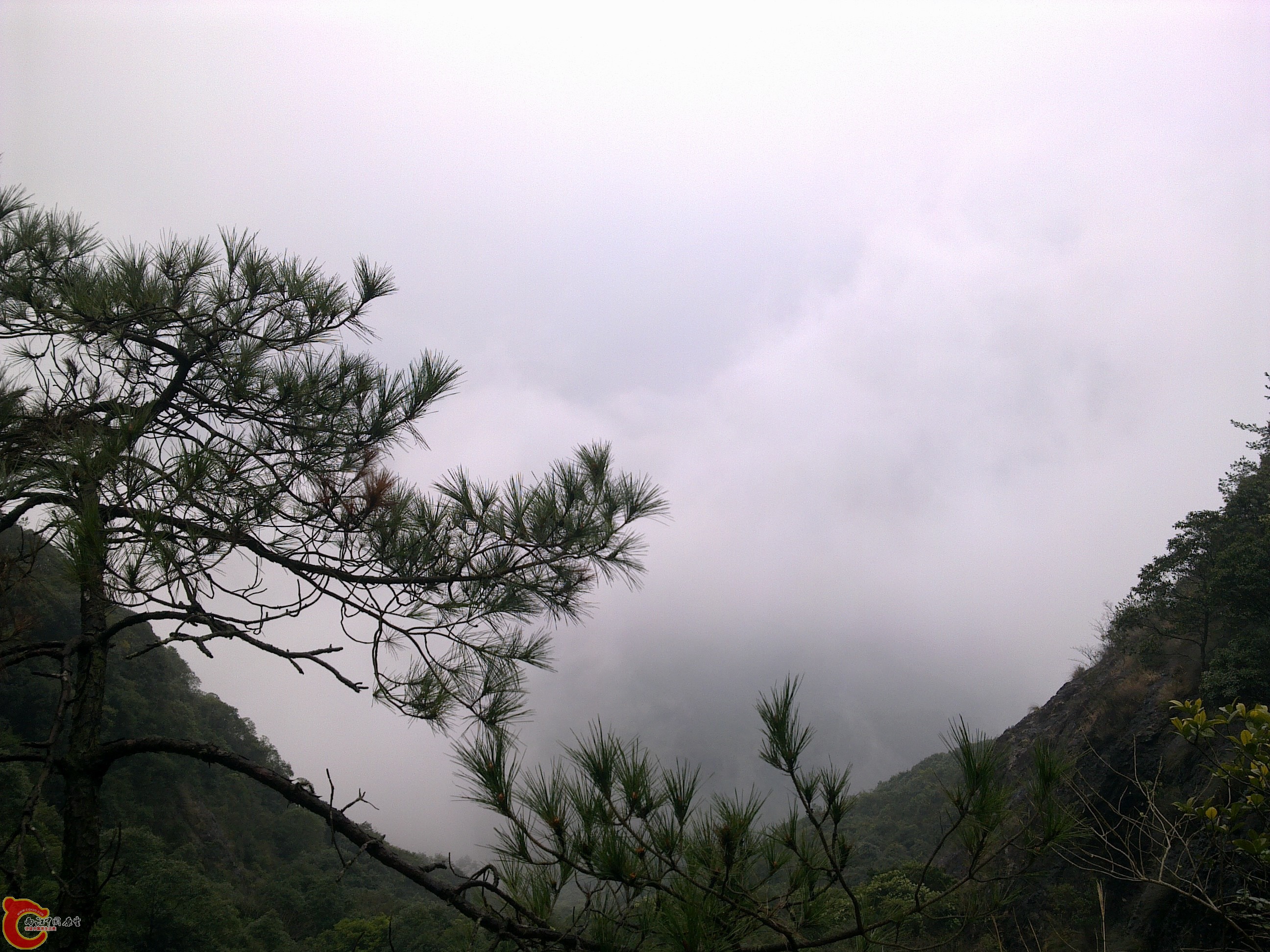 20120126237.jpg