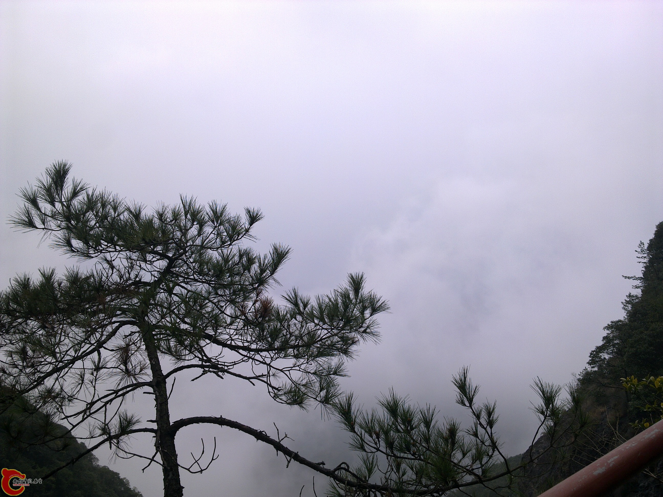 20120126238.jpg