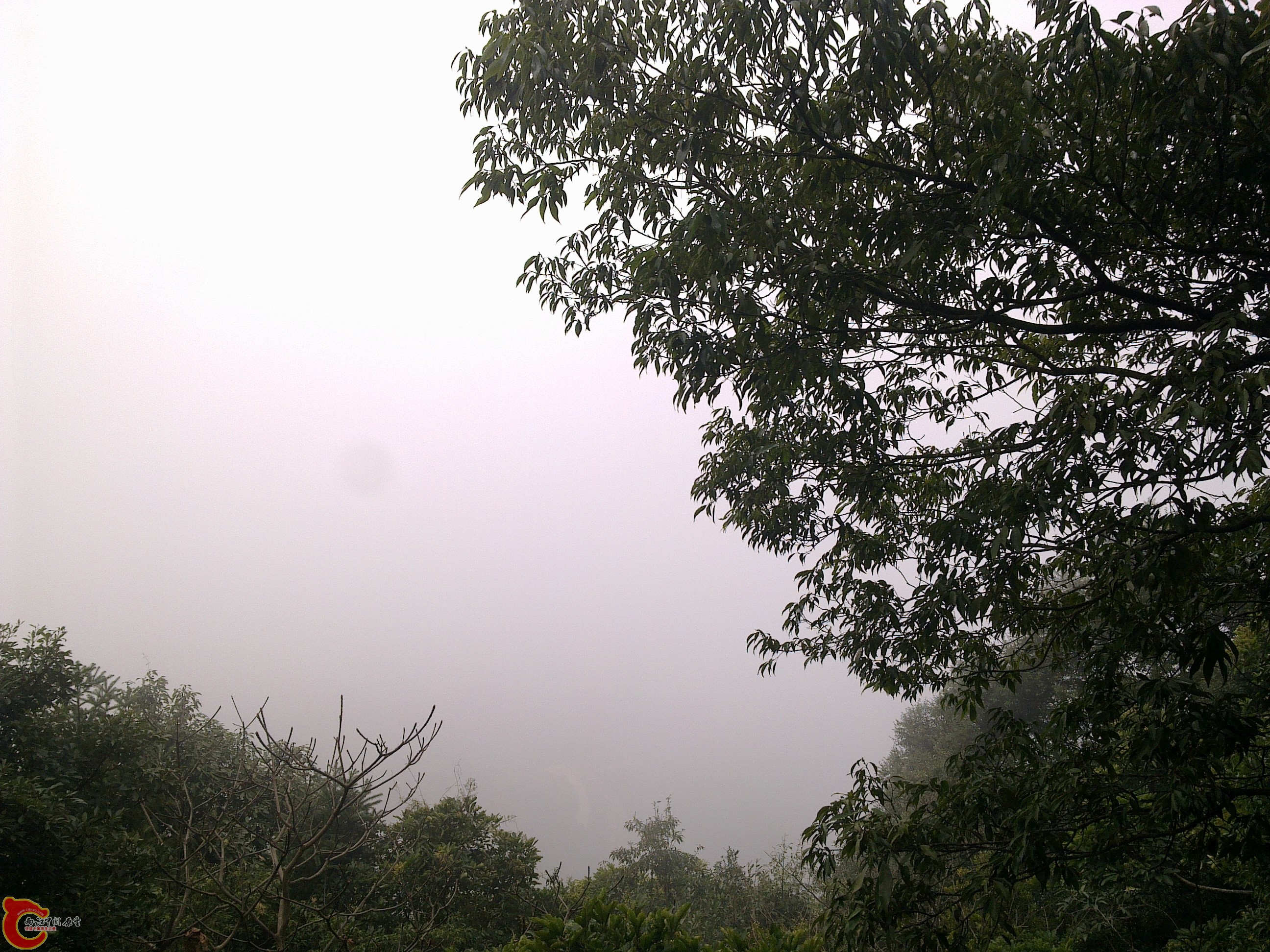 20120126241.jpg