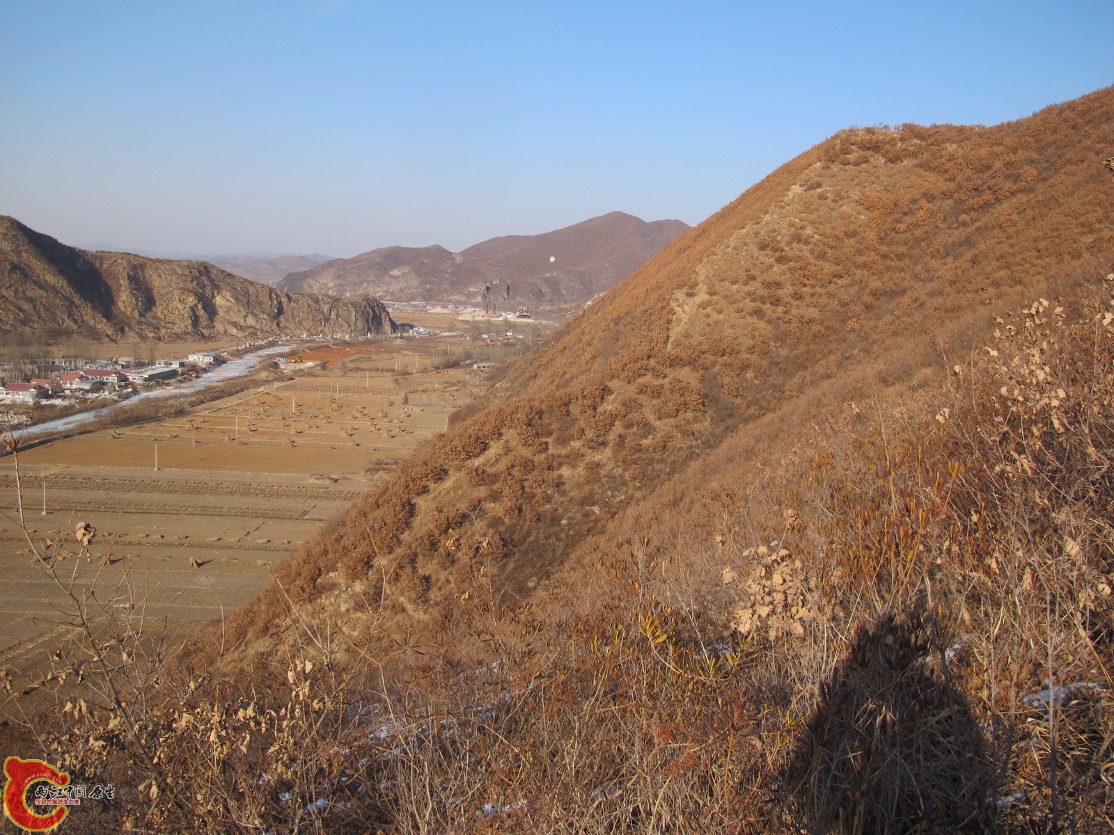 IMG_8973.JPG
