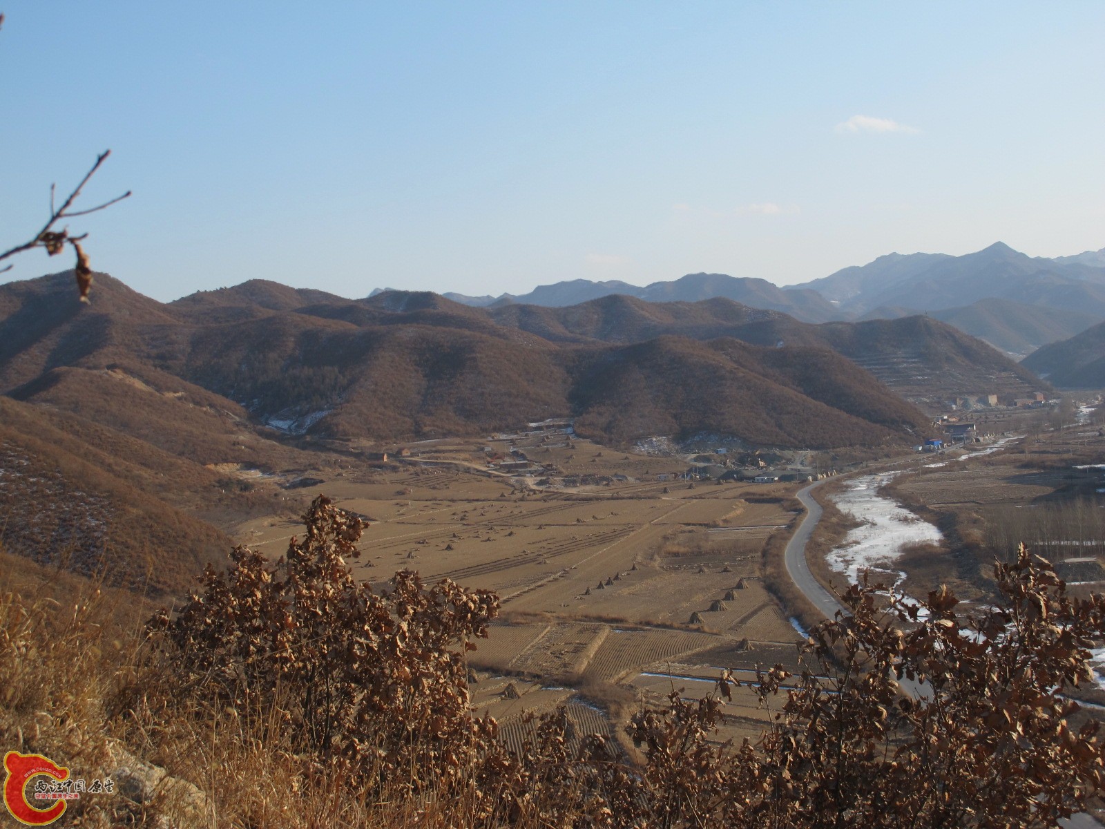 IMG_8975.JPG