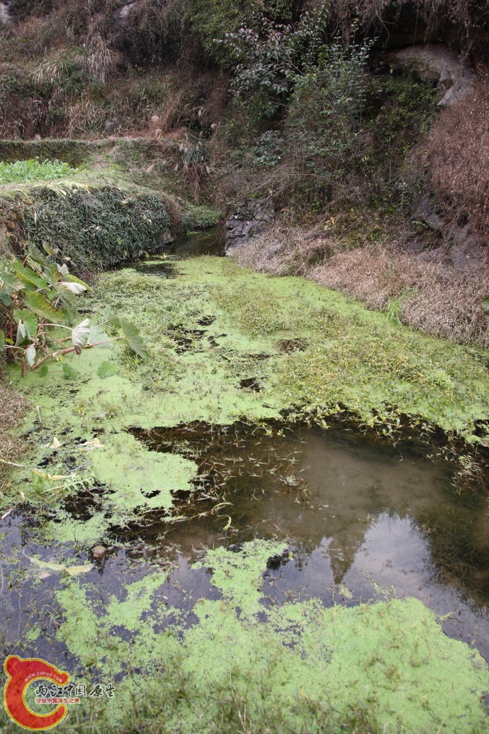 小河环境