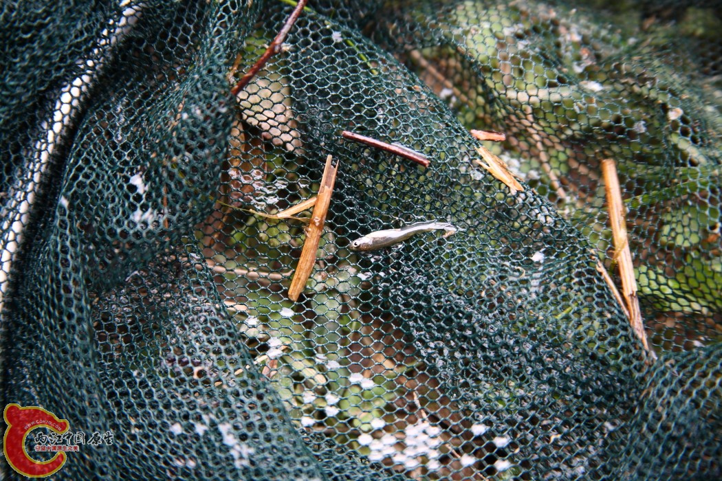 DPP_0003.JPG