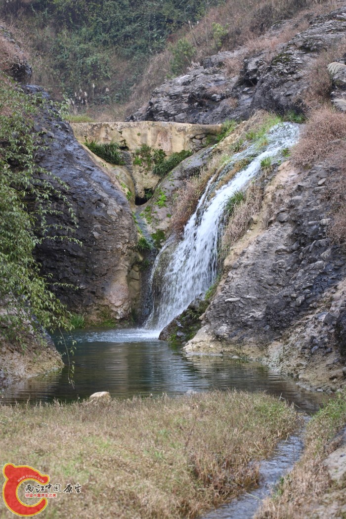 DPP_0012.JPG