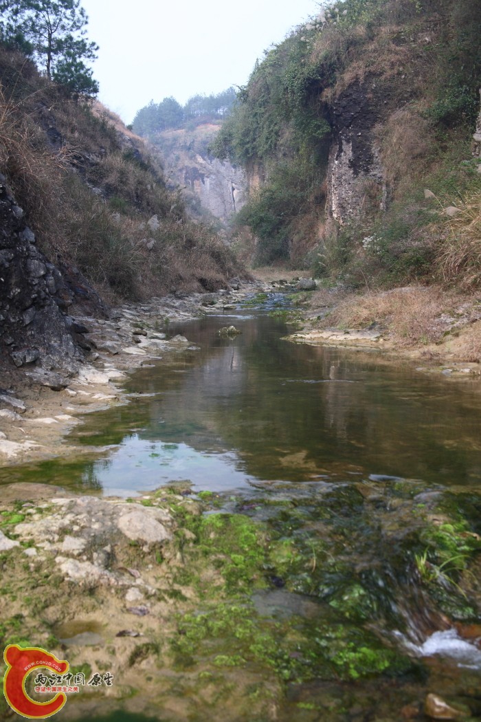 DPP_0017.JPG