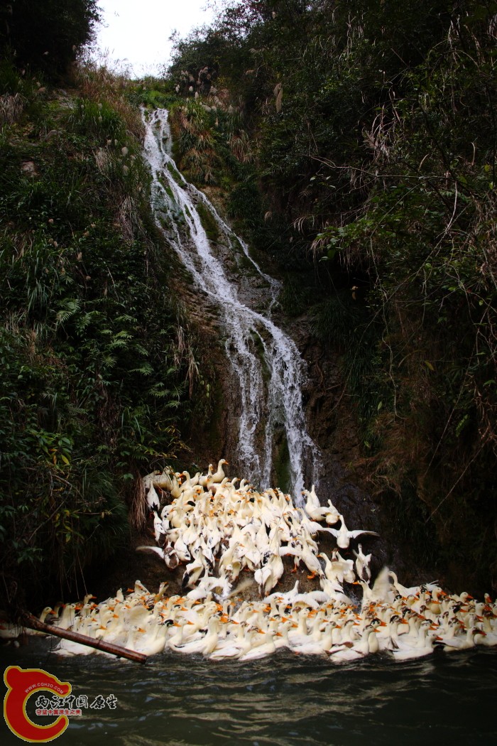 DPP_0039.JPG