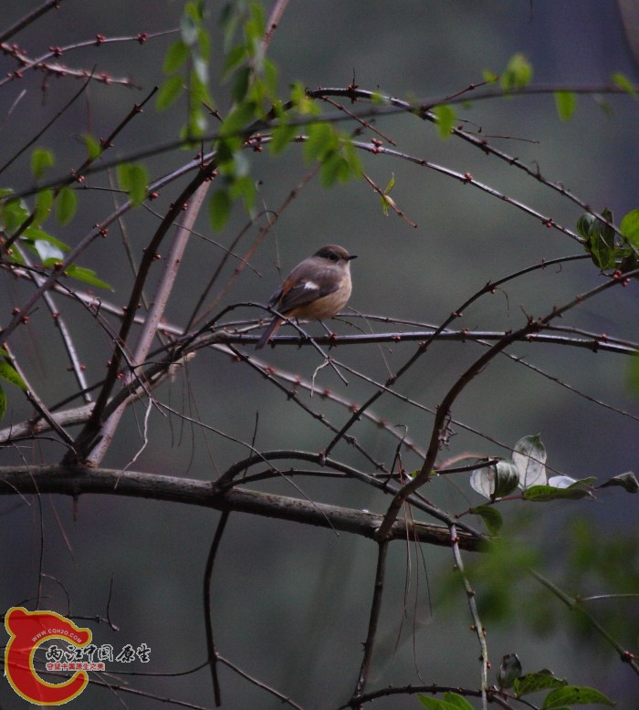 DPP_0041.JPG