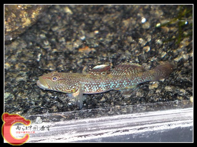 调整大小 DSC03973.JPG