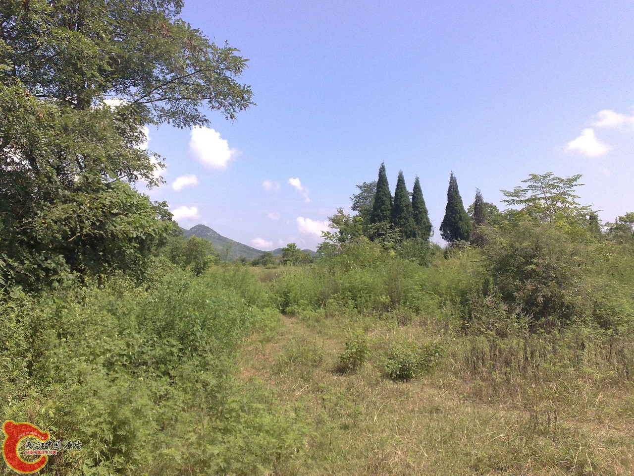 20090729587.jpg