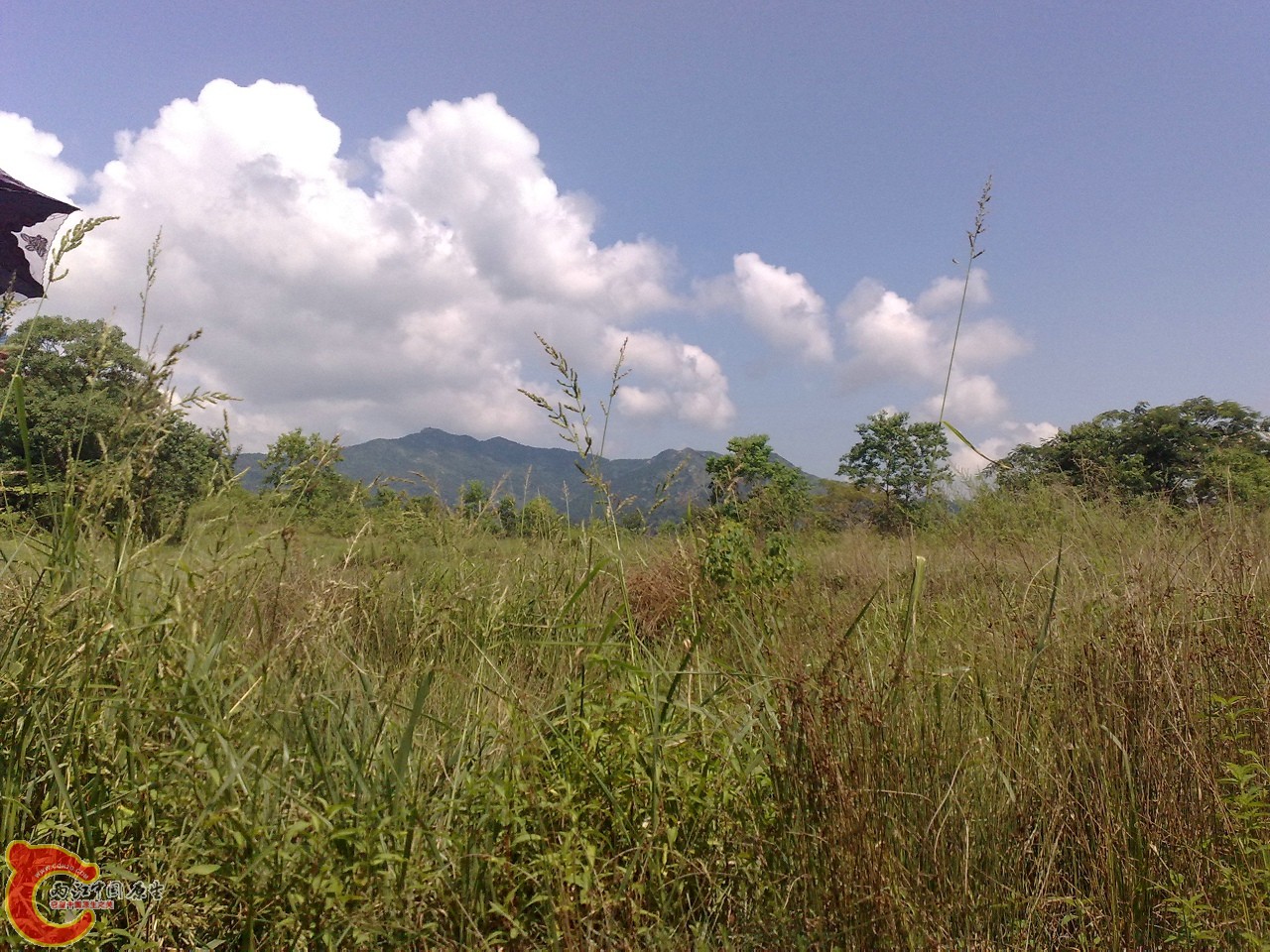 20090729589.jpg