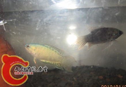 PNUH4(SY%PE~X1M1_1DEW[O.jpg